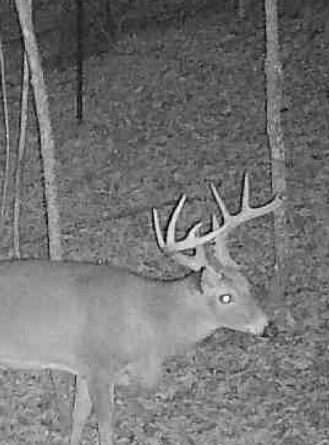 0 Beulah RD - Photo 13