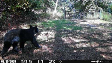 0 Beulah RD - Photo 26