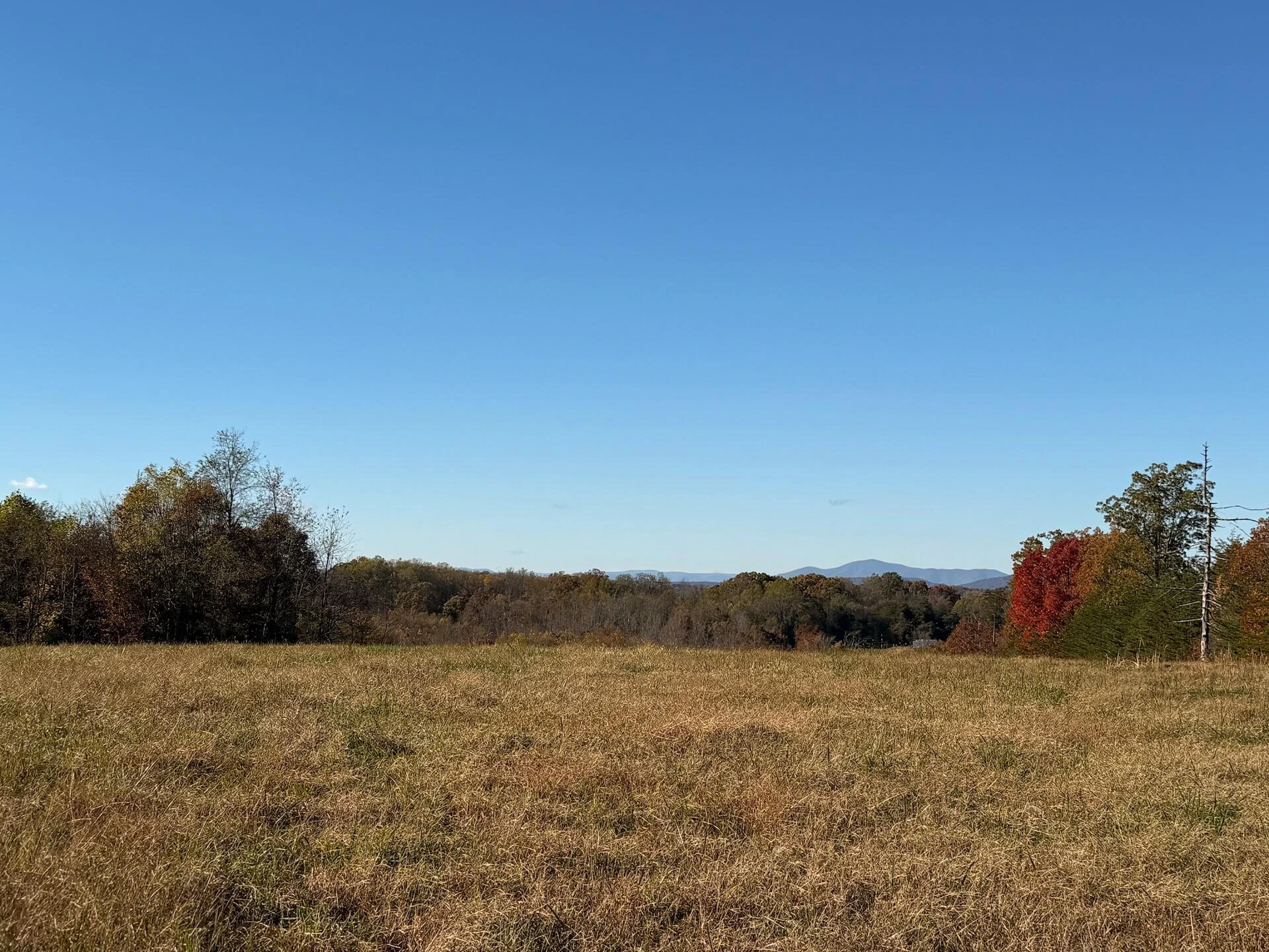 0 Beulah RD - Photo 30