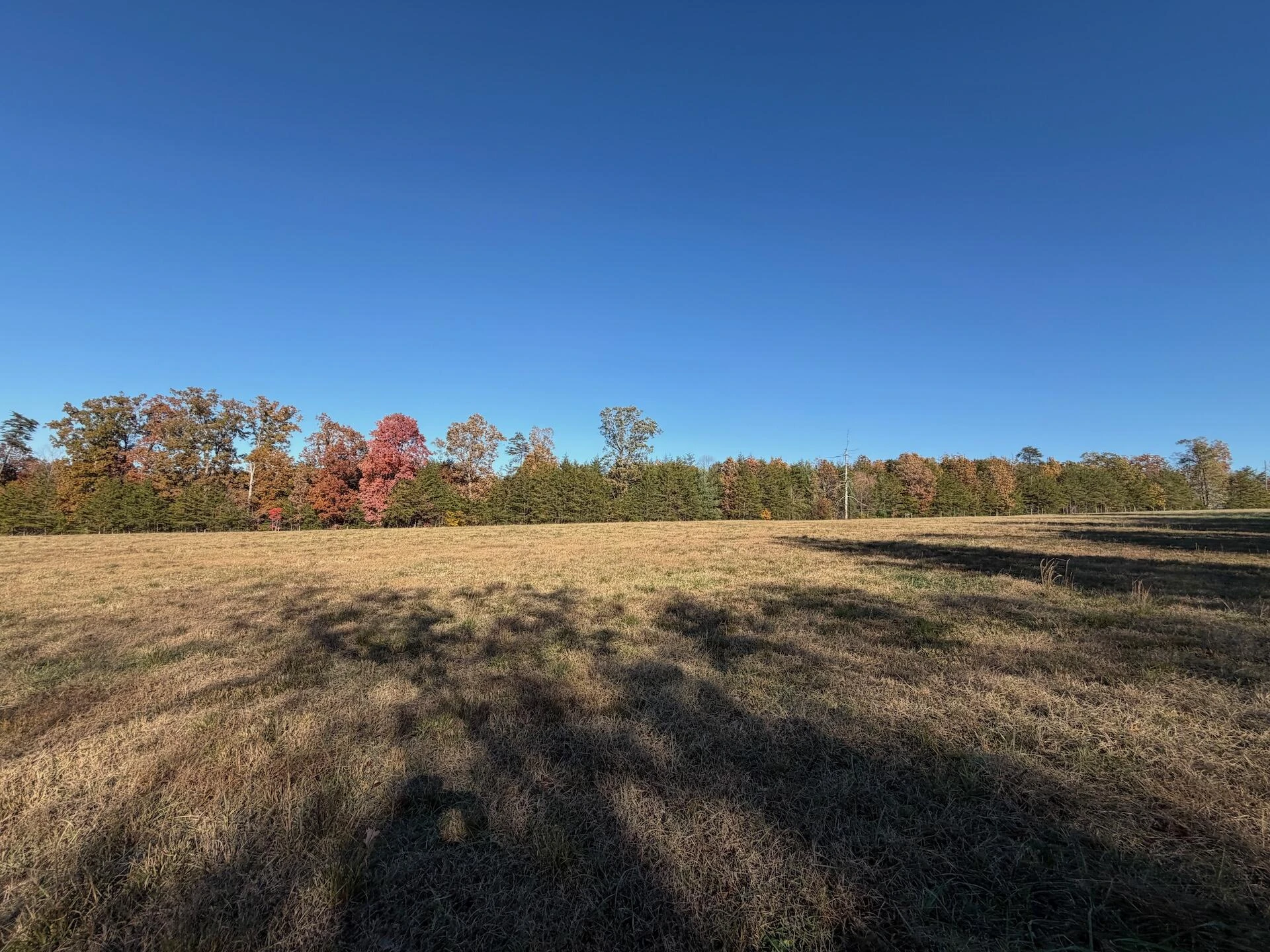 0 Beulah RD - Photo 40