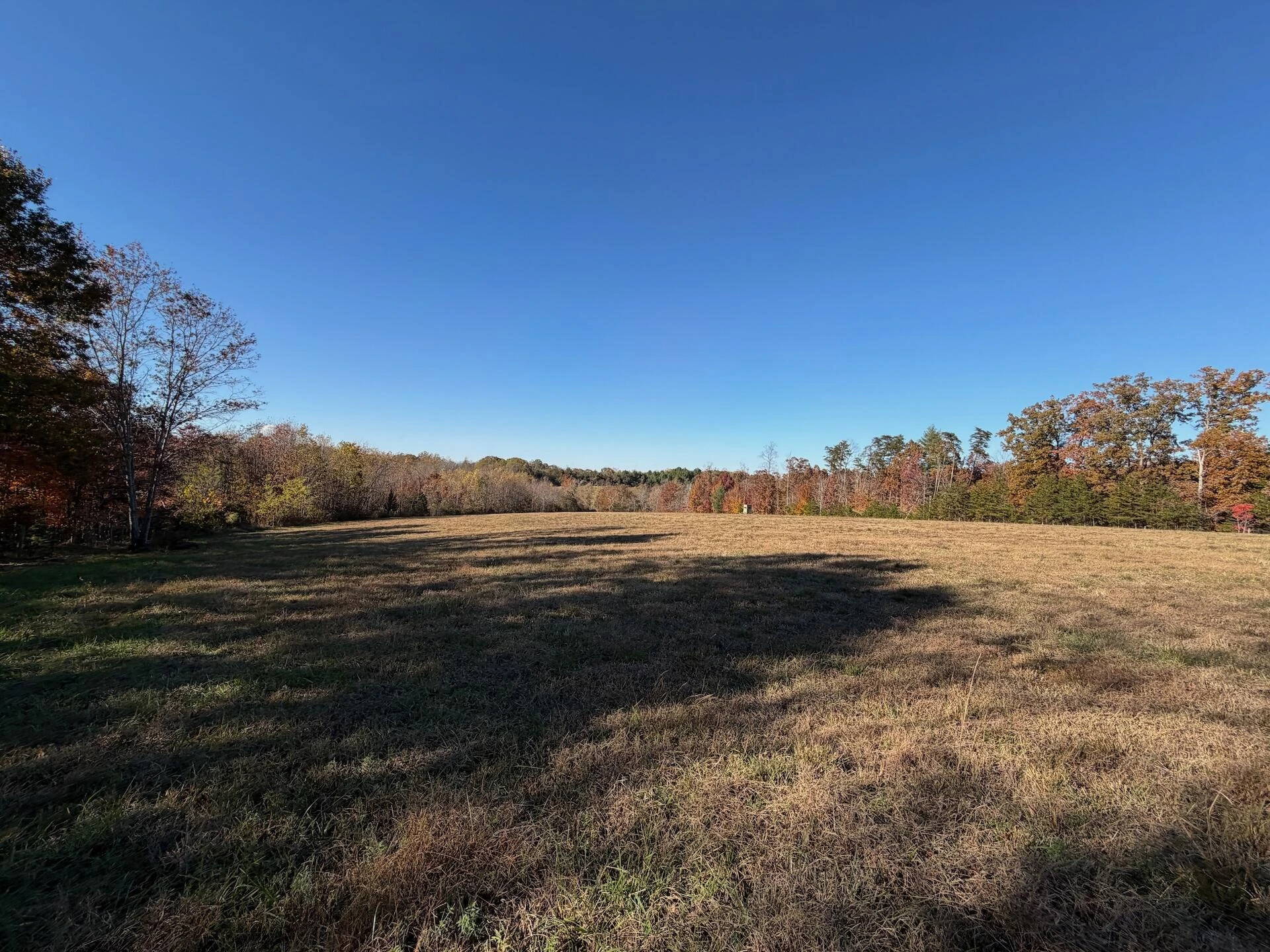 0 Beulah RD - Photo 41