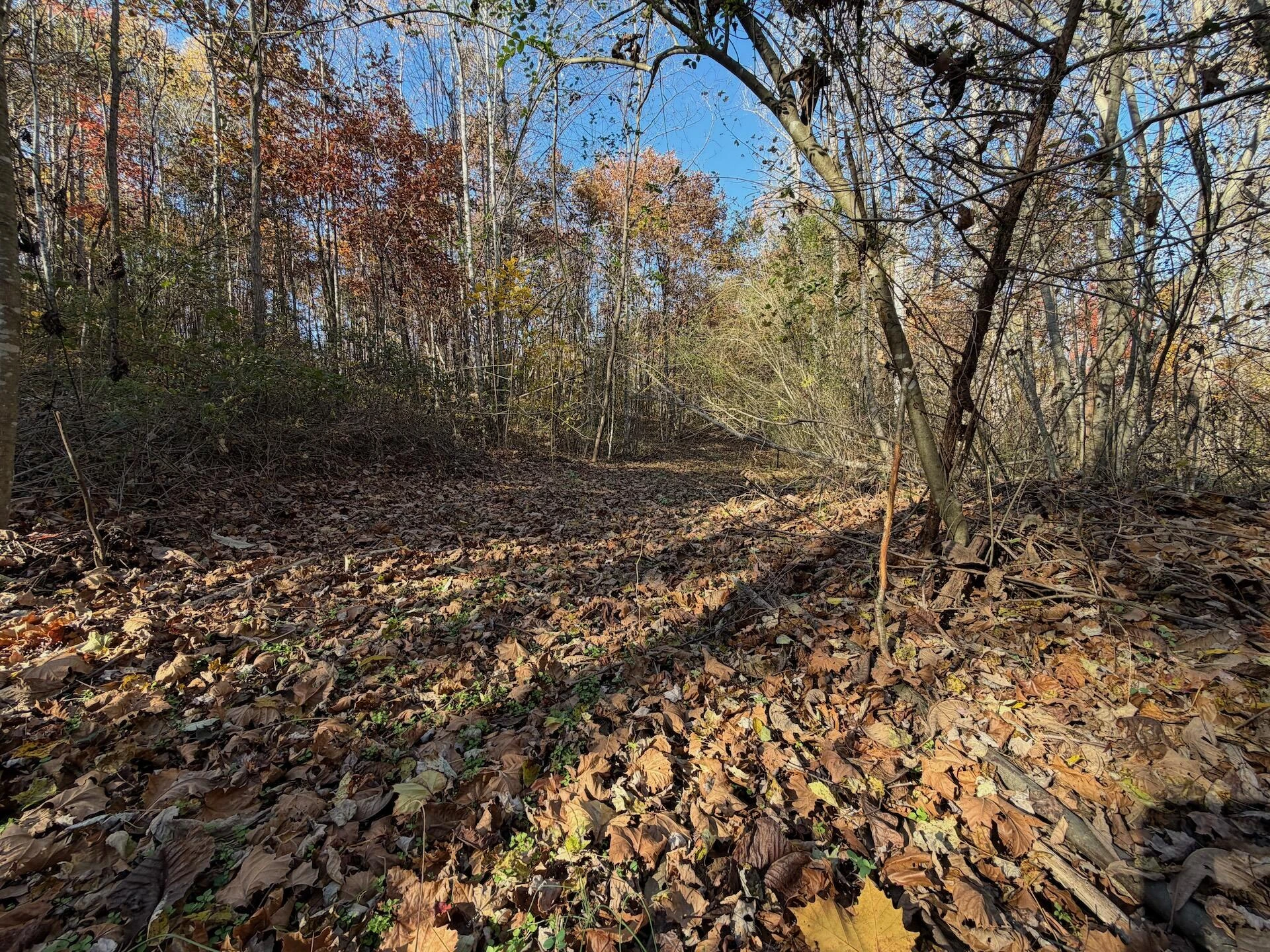 0 Beulah RD - Photo 44