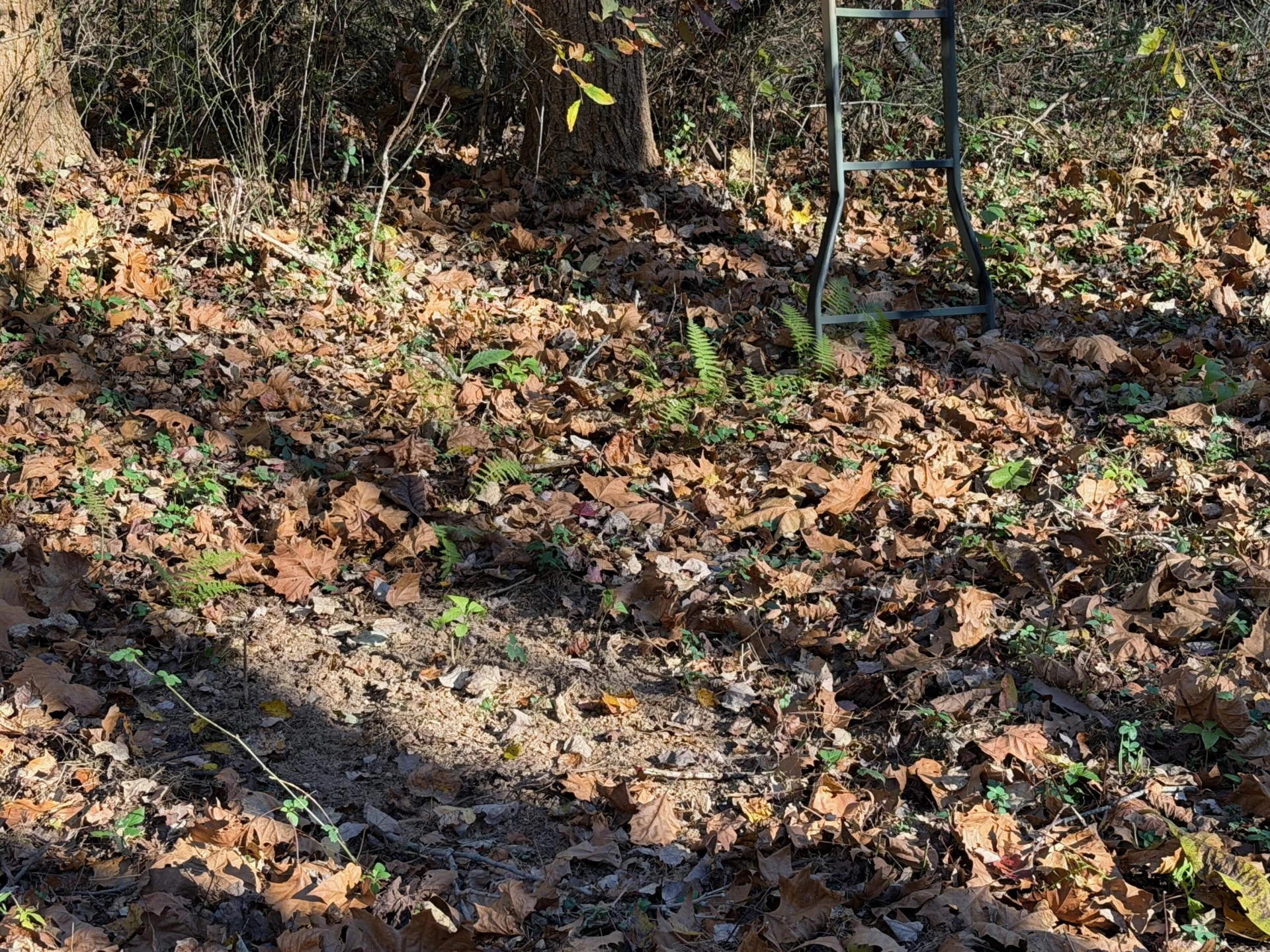0 Beulah RD - Photo 47