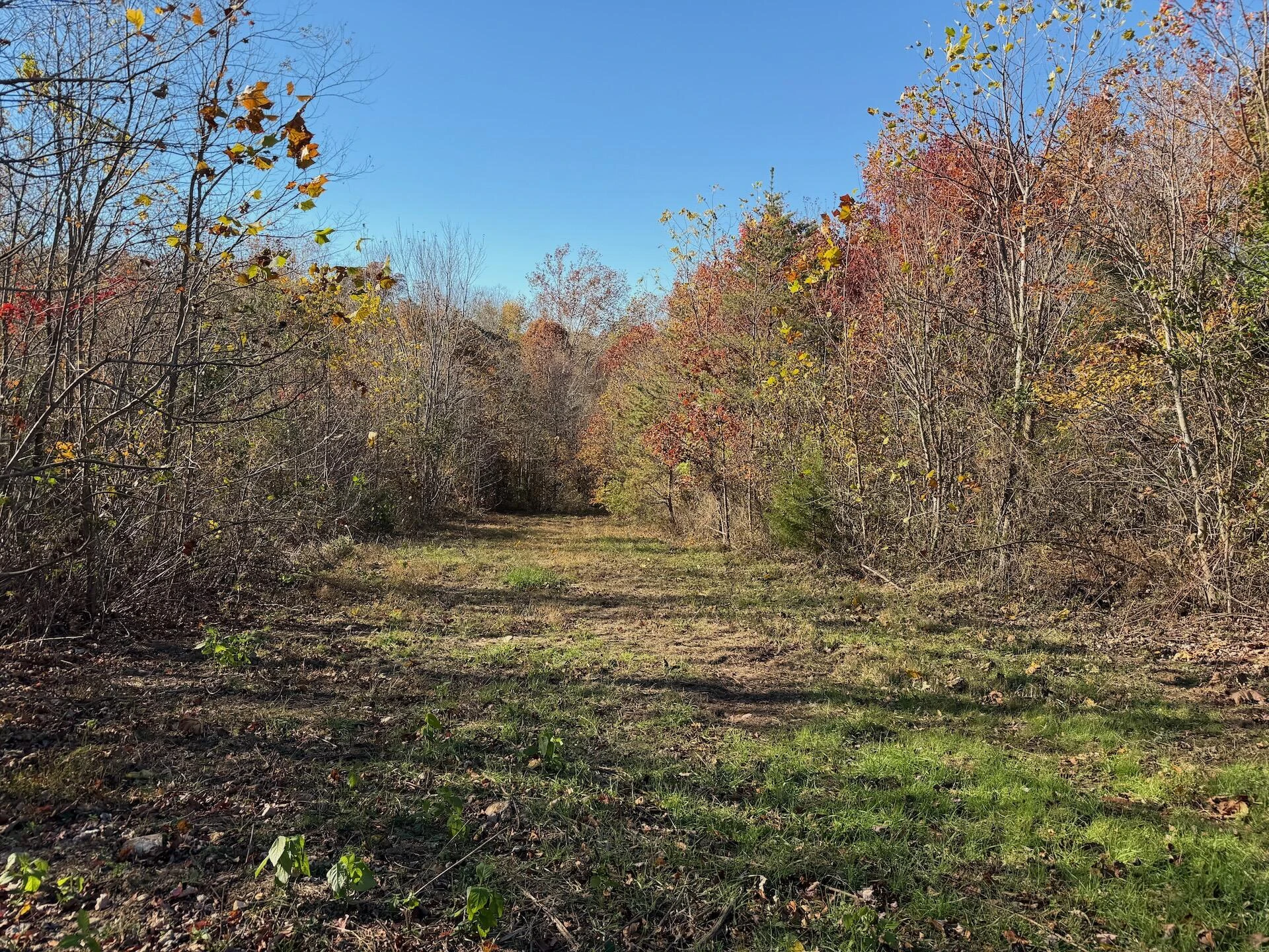 0 Beulah RD - Photo 49