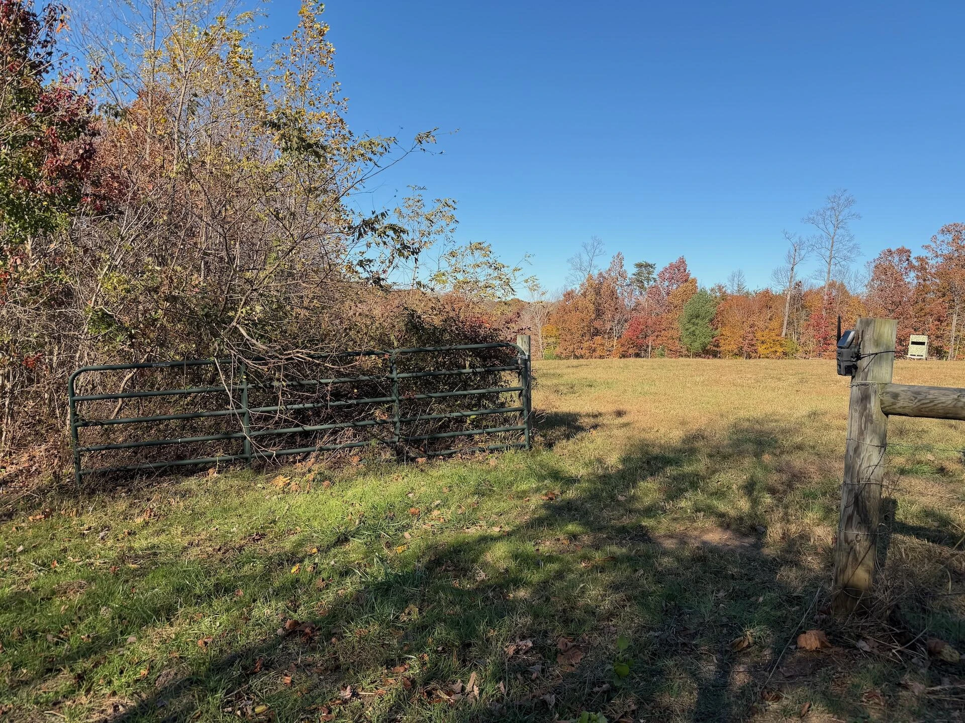 0 Beulah RD - Photo 50