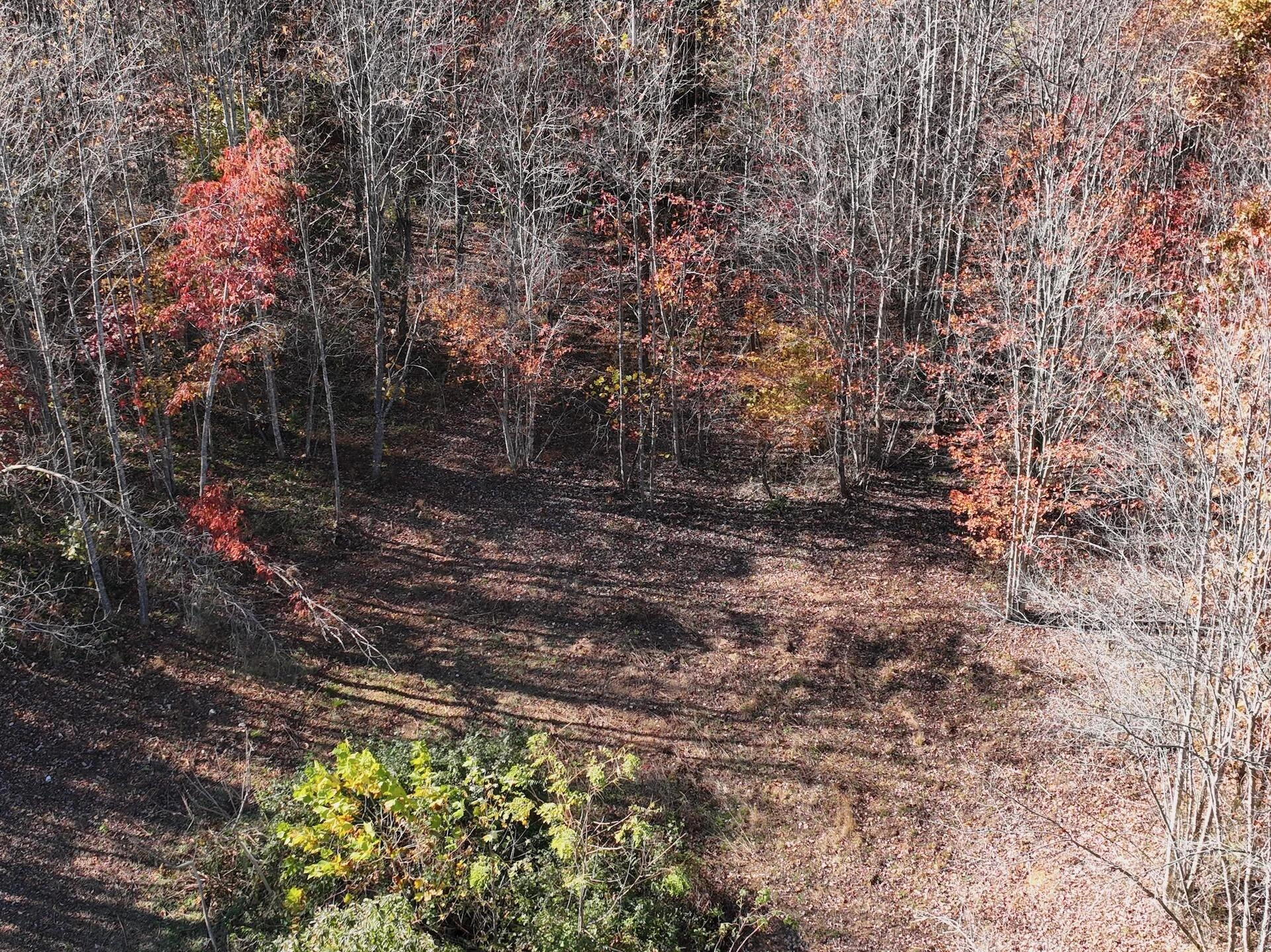 0 Beulah RD - Photo 73