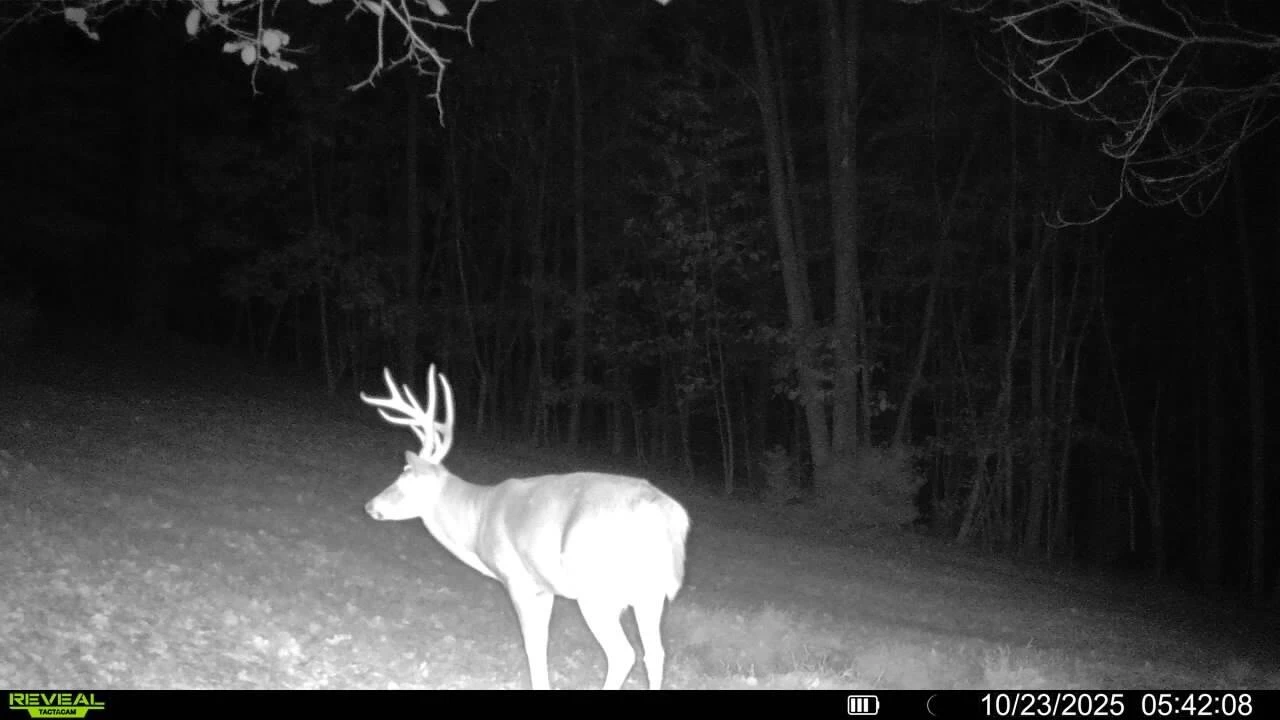 0 Beulah RD - Photo 8