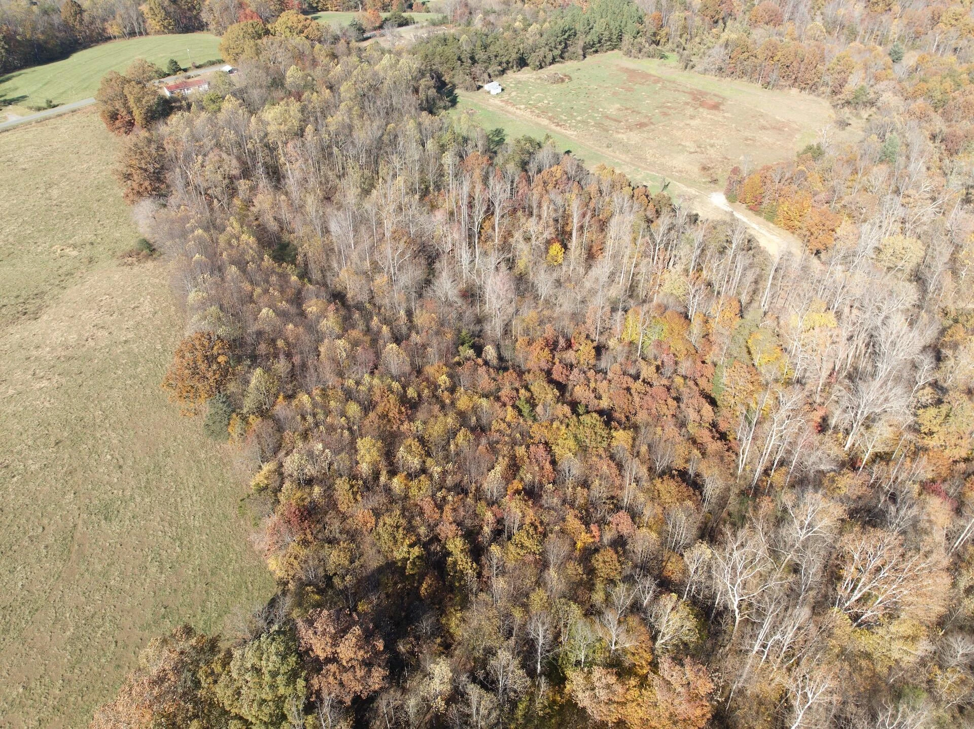 0 Beulah RD - Photo 86