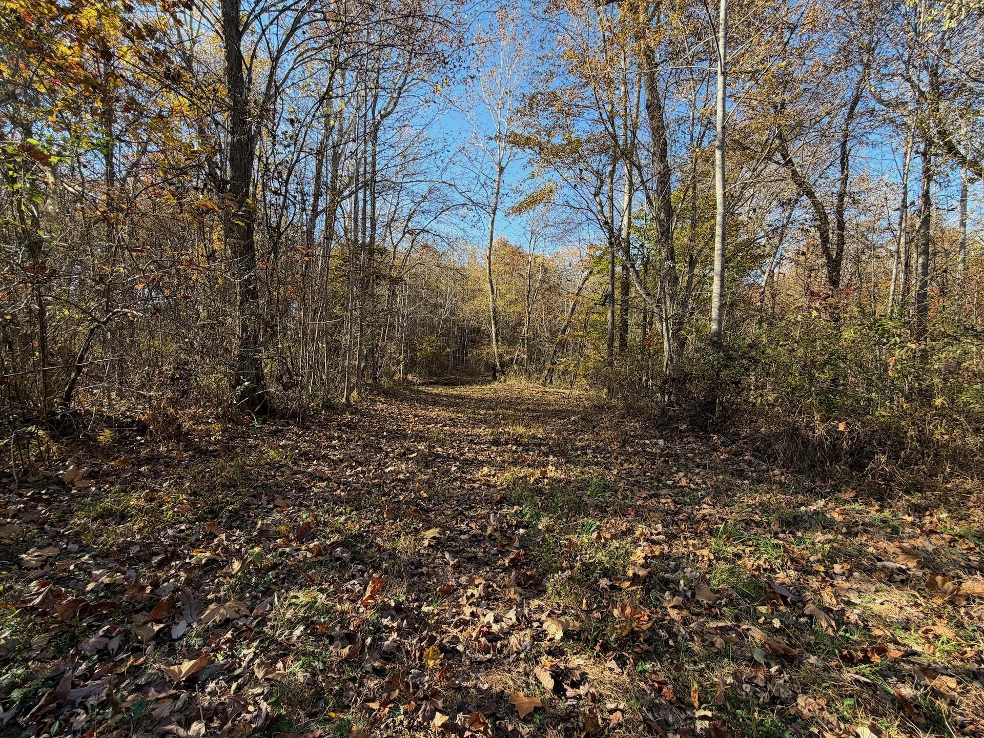 0 Beulah RD - Photo 9