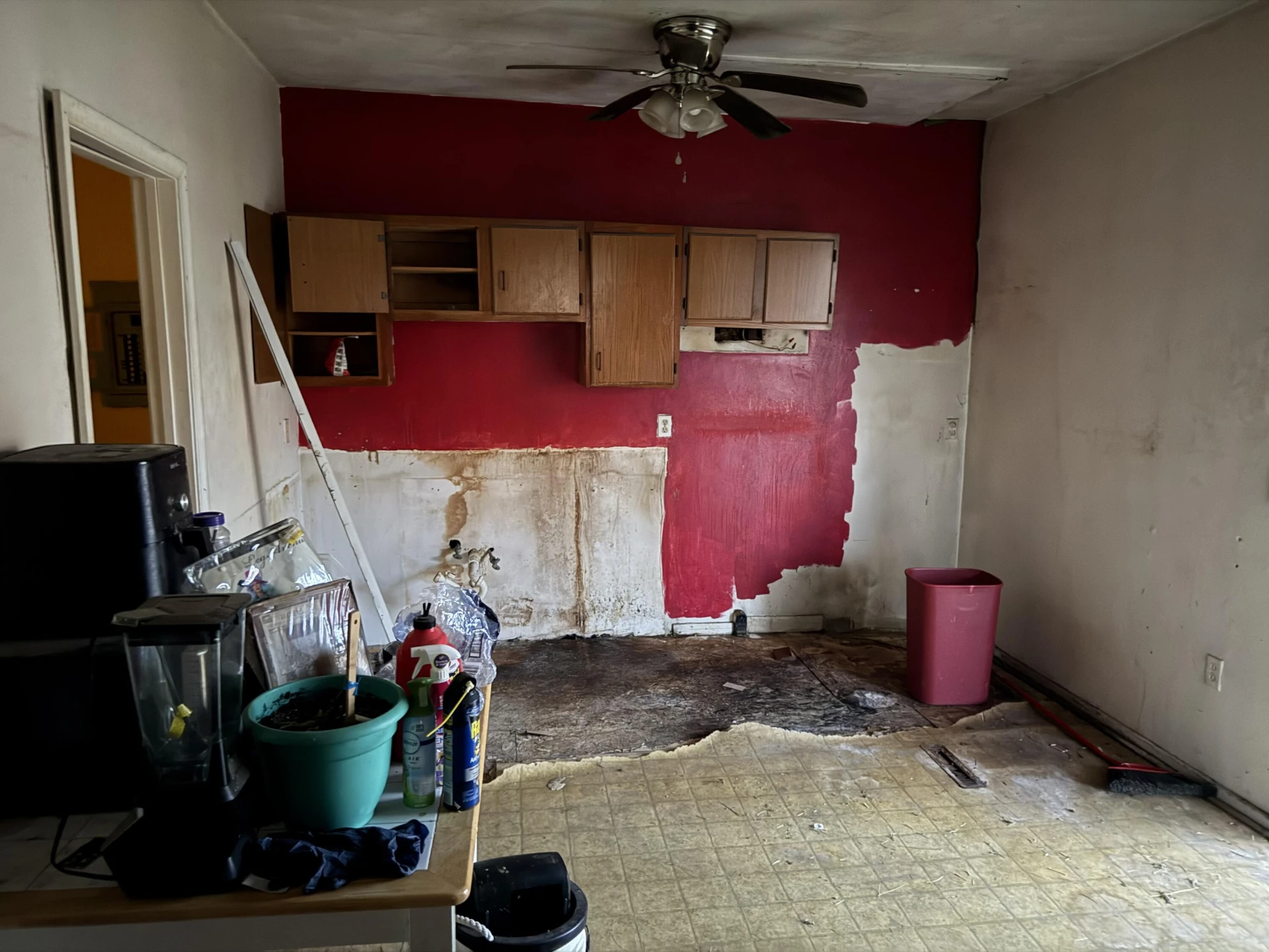 1710 Mercer AVE #2 - Photo 6