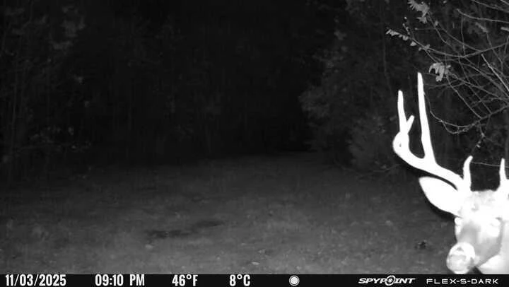 0 Beulah RD - Photo 17