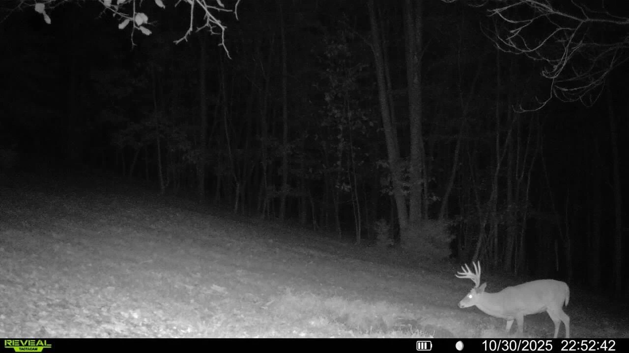 0 Beulah RD - Photo 19
