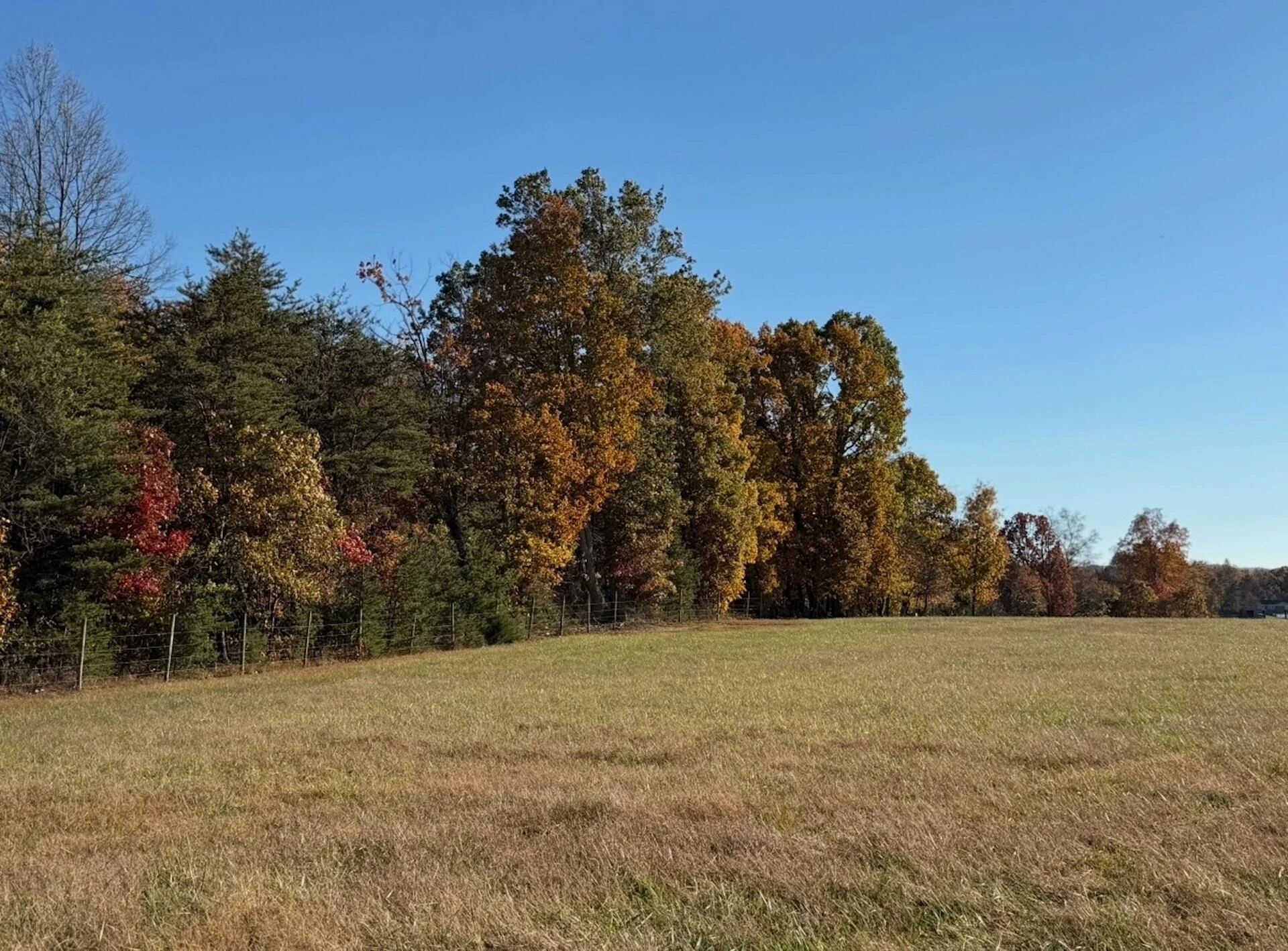 0 Beulah RD - Photo 22