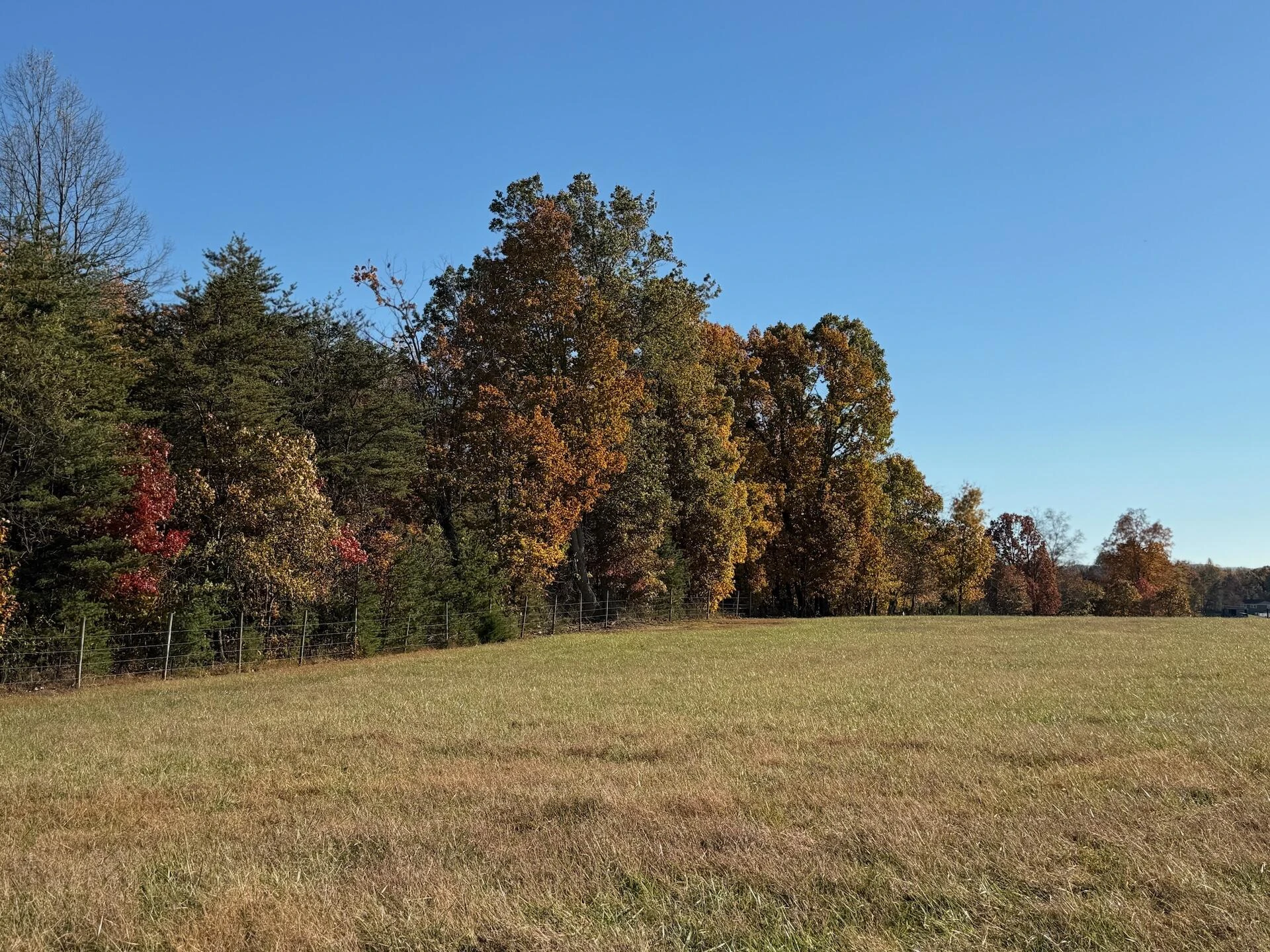 0 Beulah RD - Photo 26