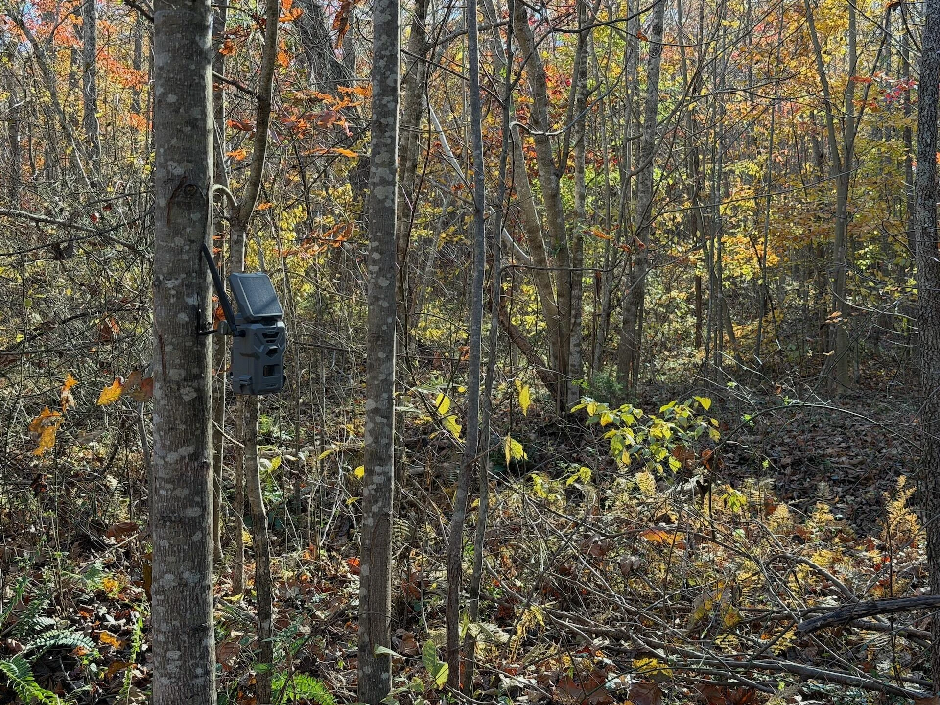 0 Beulah RD - Photo 40