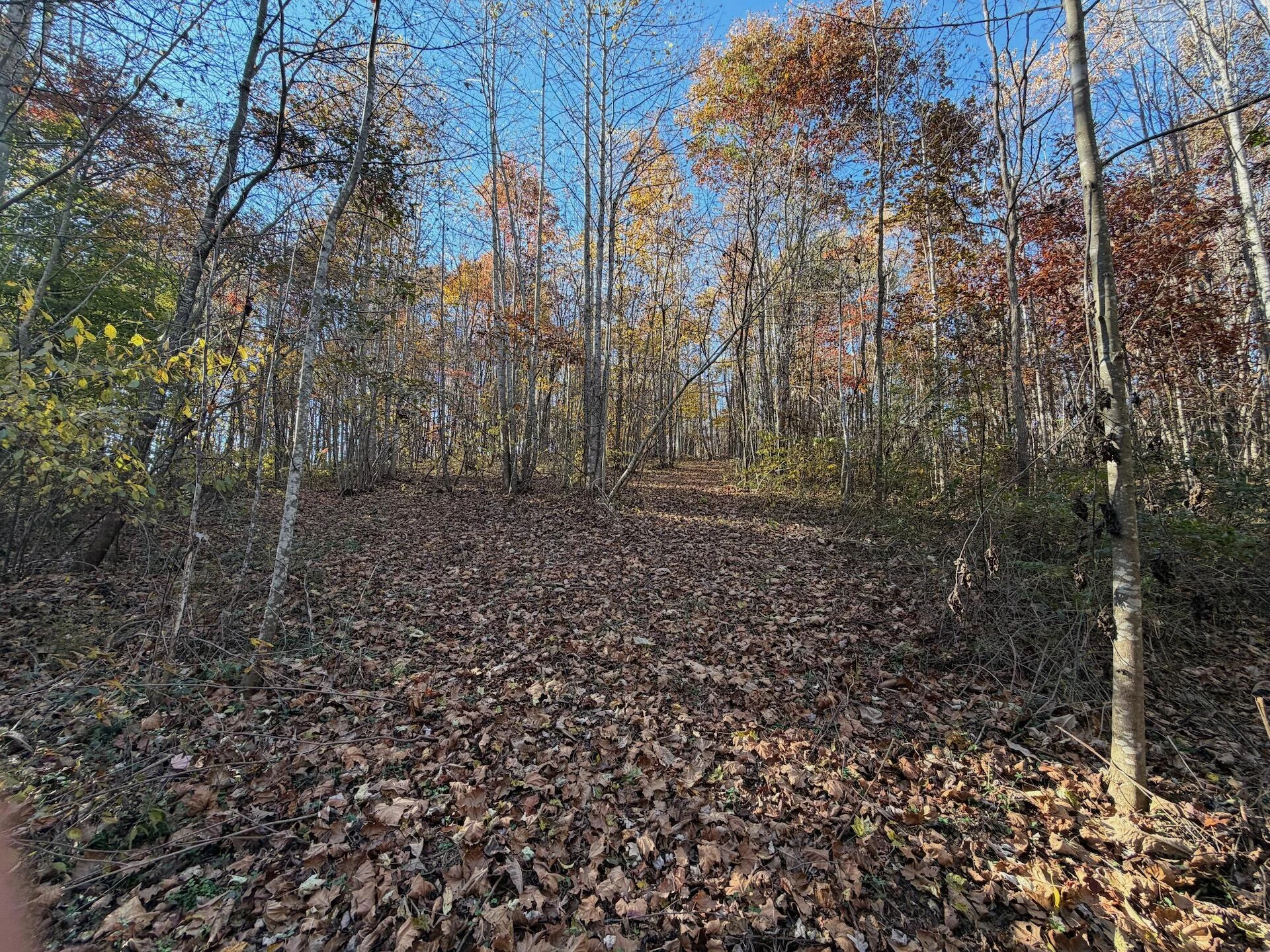 0 Beulah RD - Photo 42