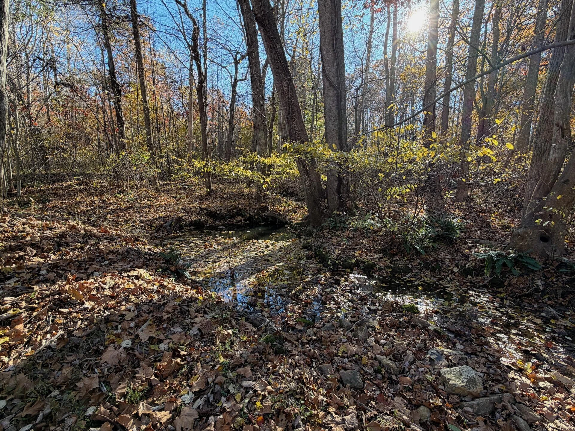 0 Beulah RD - Photo 43