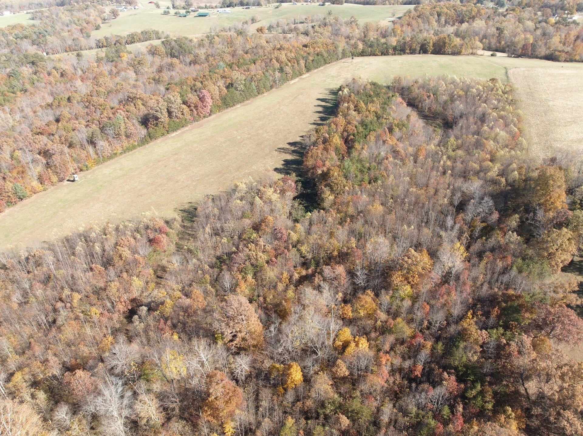 0 Beulah RD - Photo 5