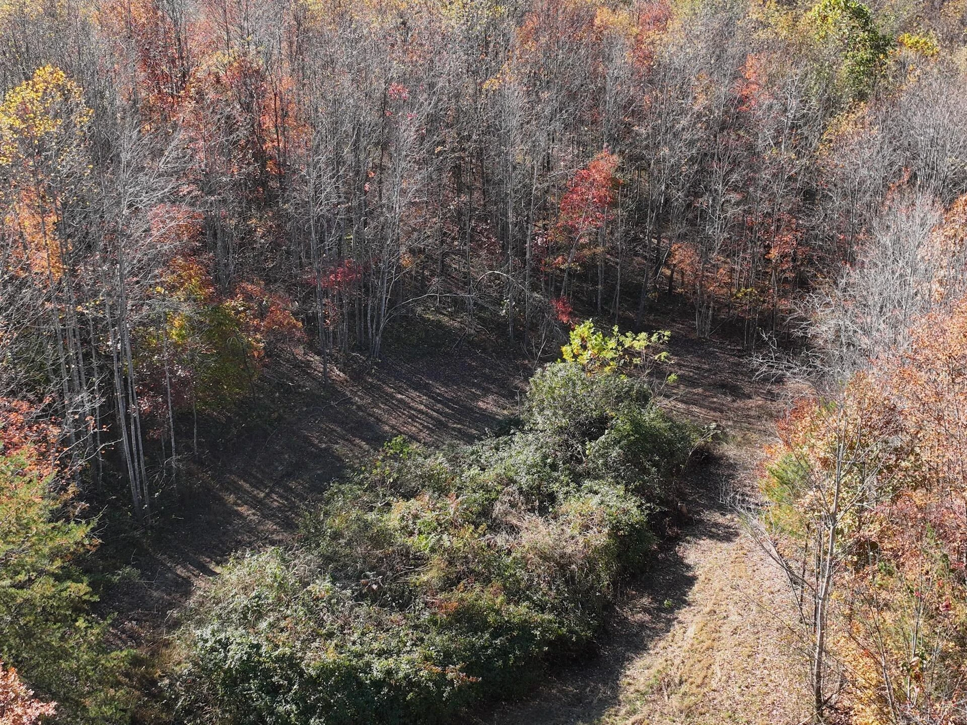 0 Beulah RD - Photo 8