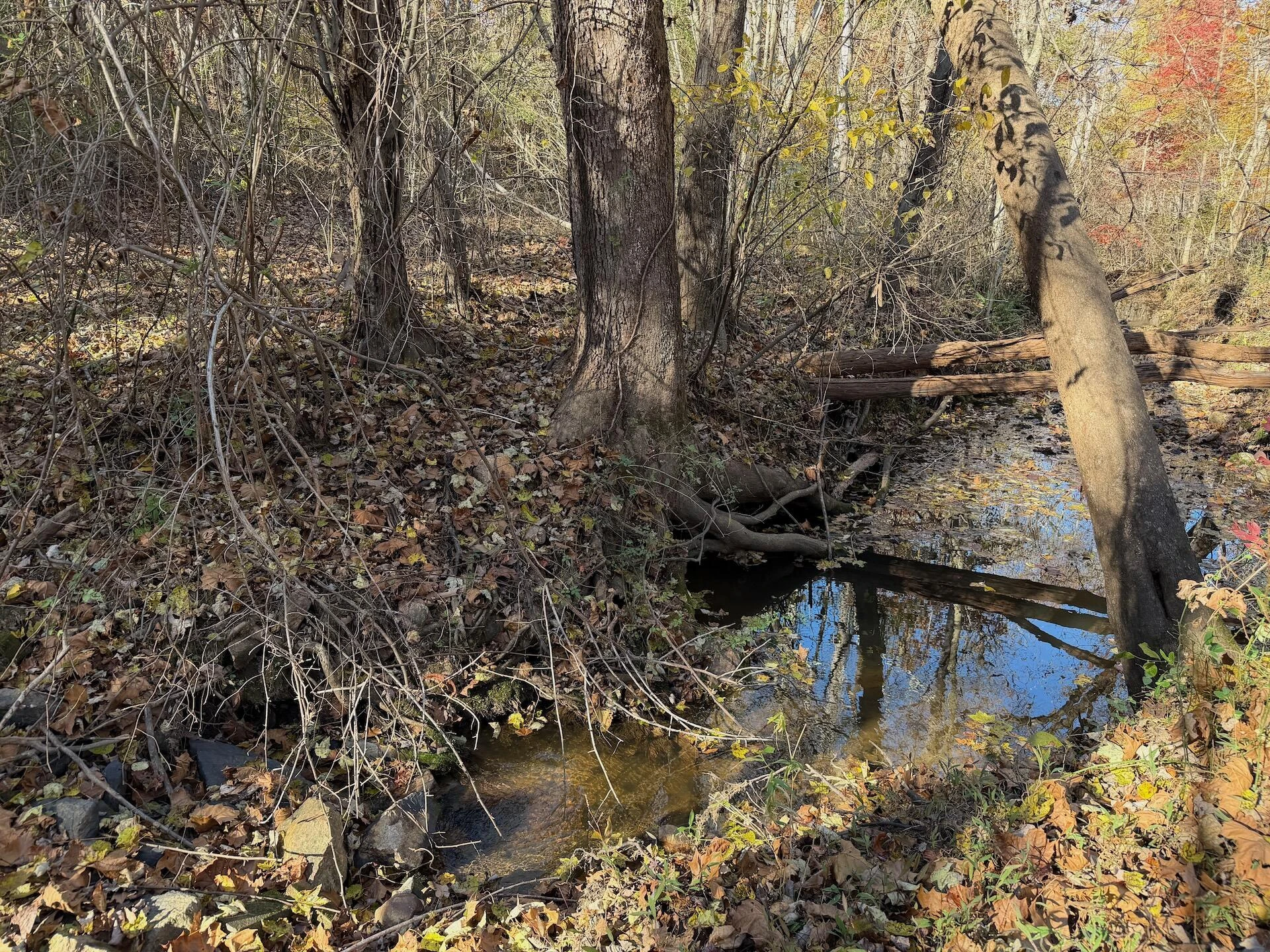 0 Beulah RD - Photo 12