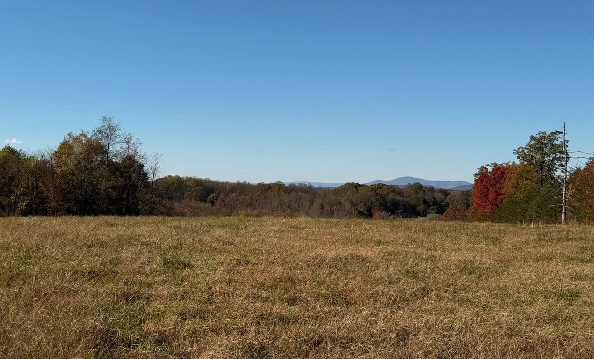 0 Beulah RD - Photo 21