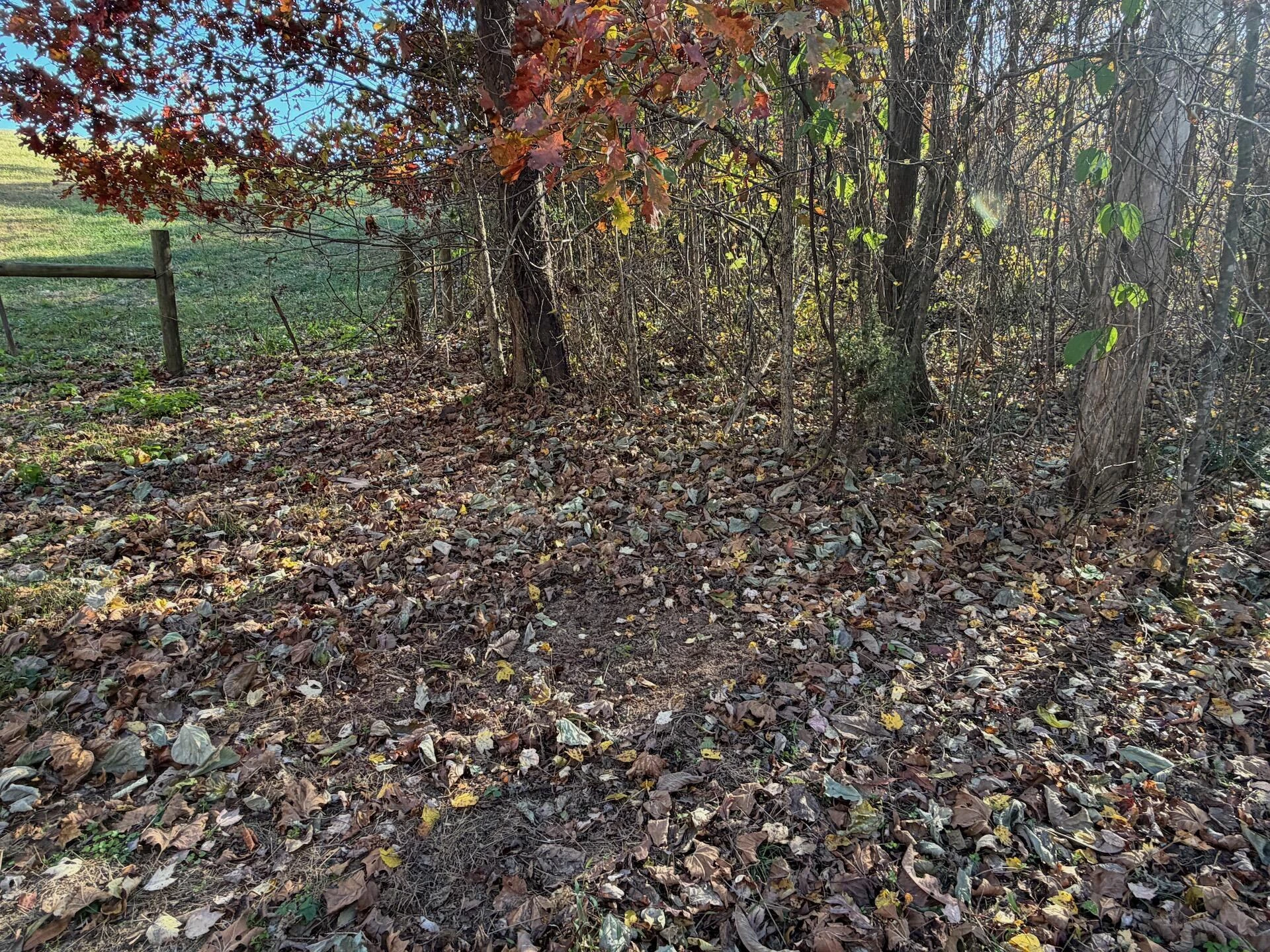 0 Beulah RD - Photo 23