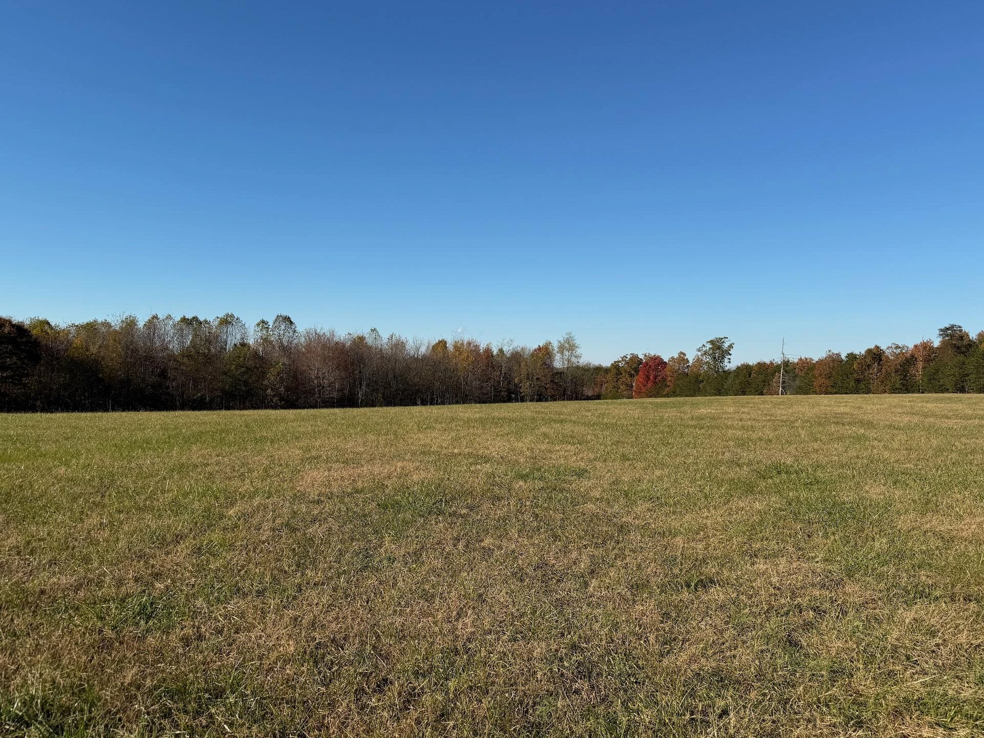 0 Beulah RD - Photo 30