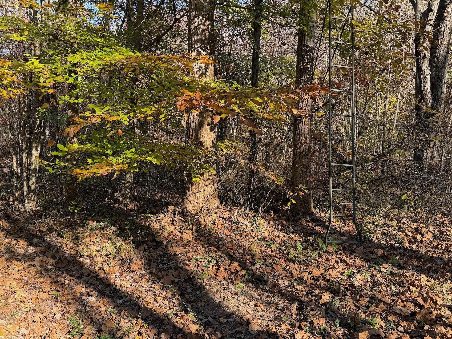 0 Beulah RD - Photo 42