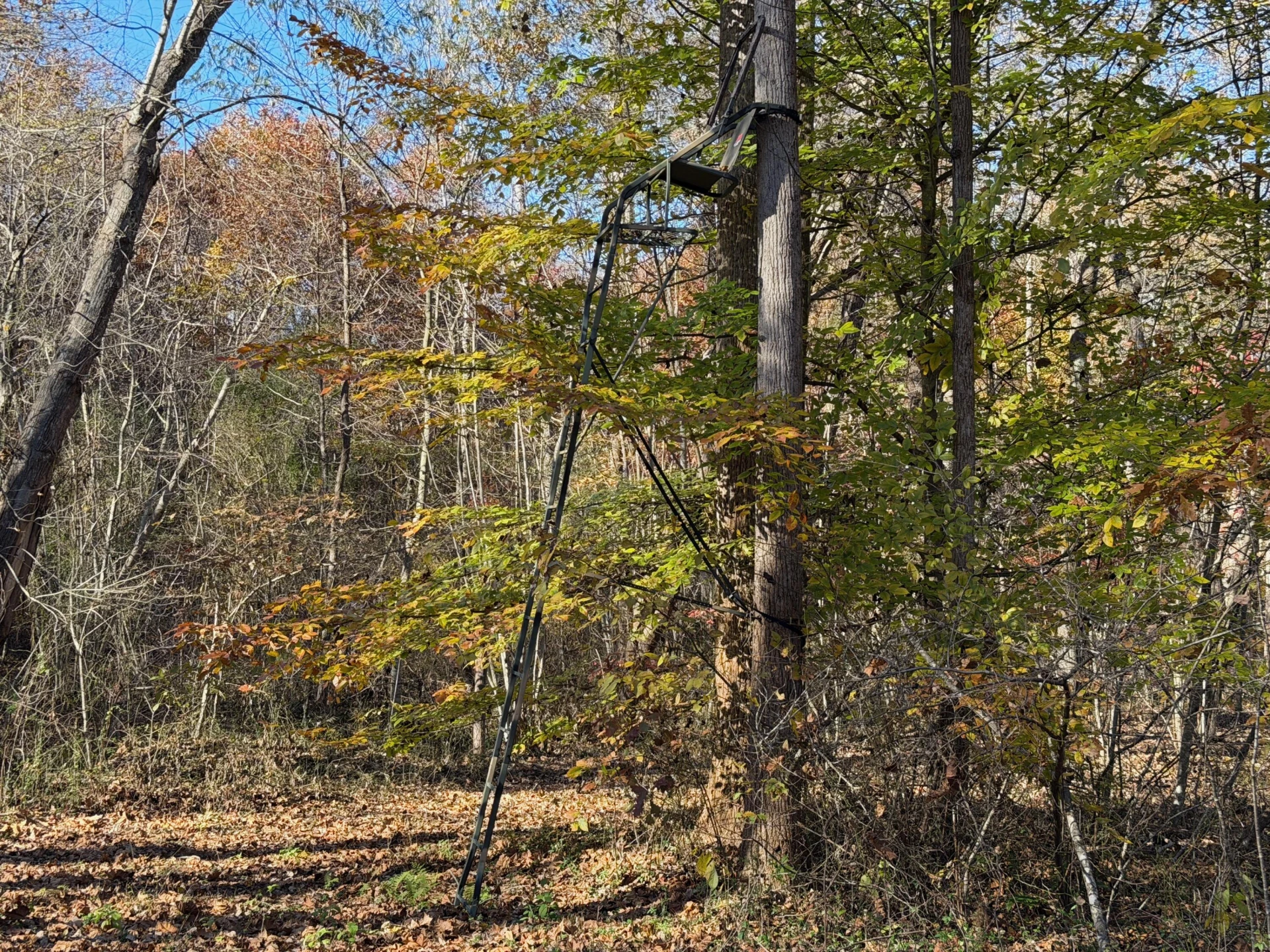 0 Beulah RD - Photo 44