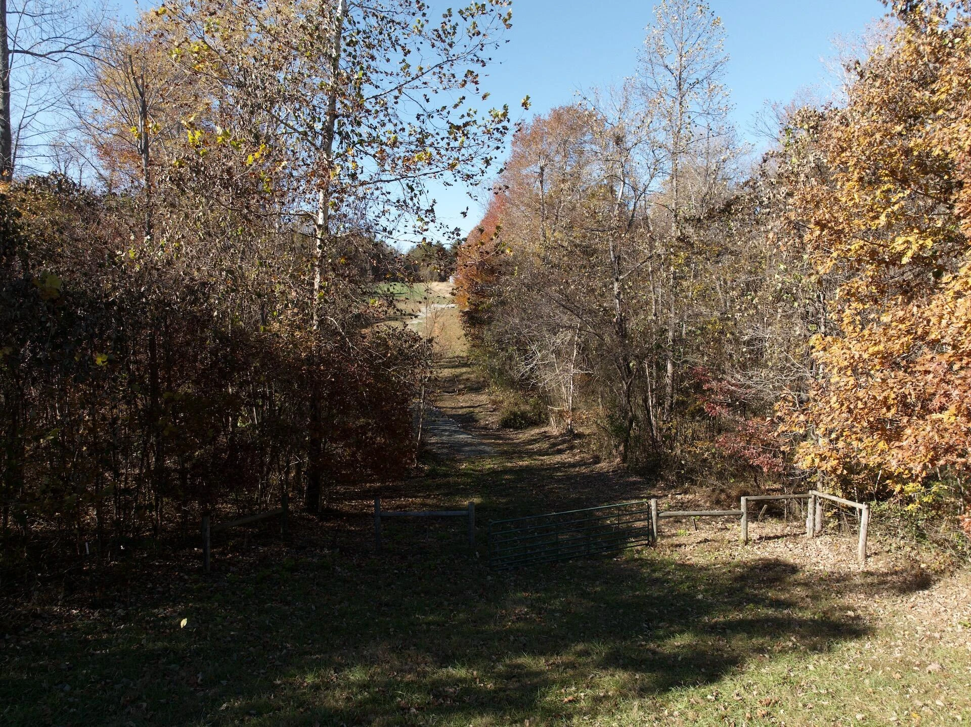 0 Beulah RD - Photo 53