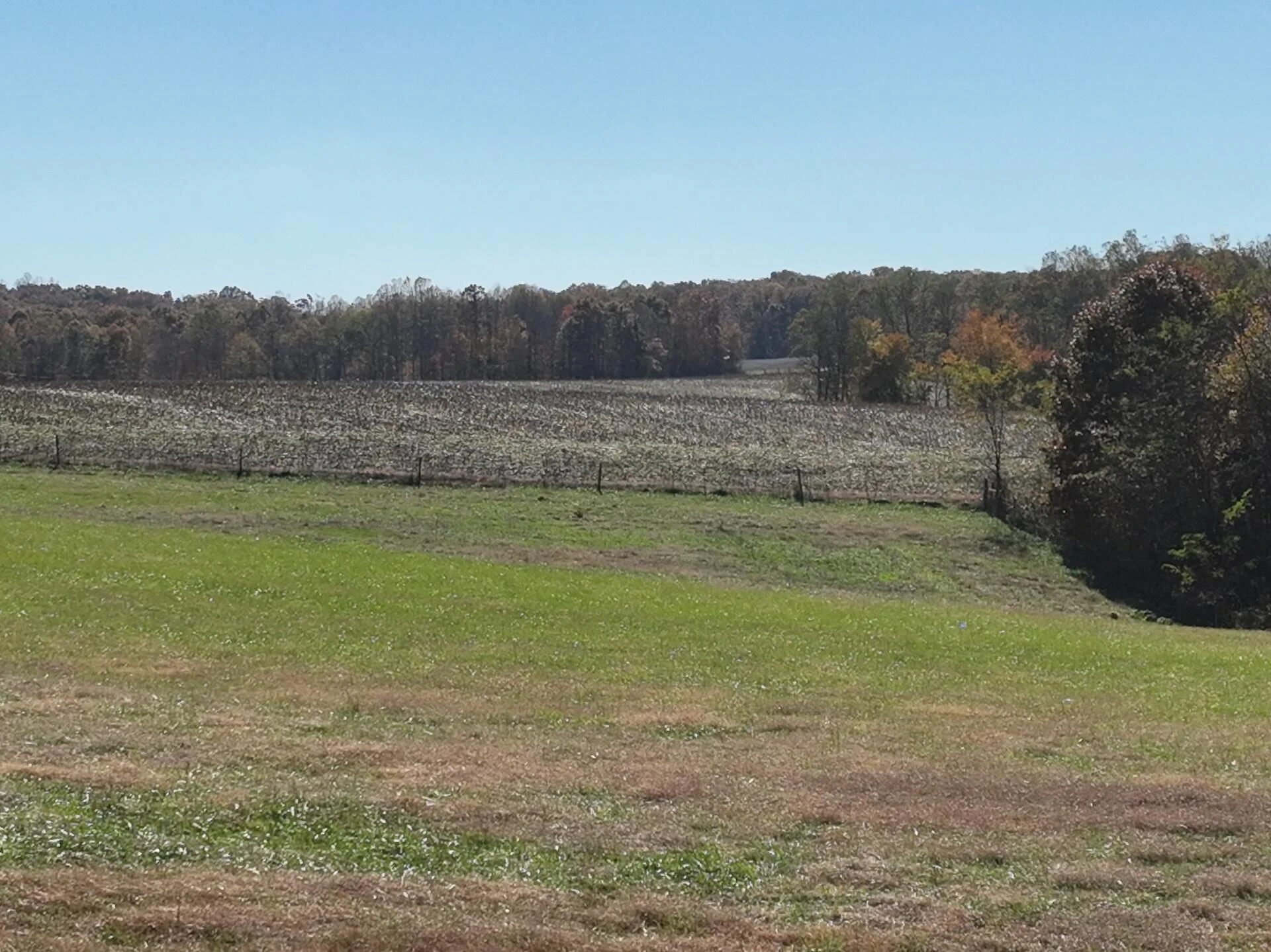 0 Beulah RD - Photo 73