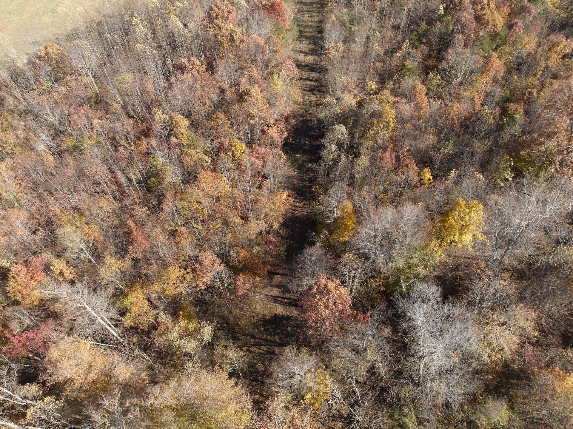 0 Beulah RD - Photo 83