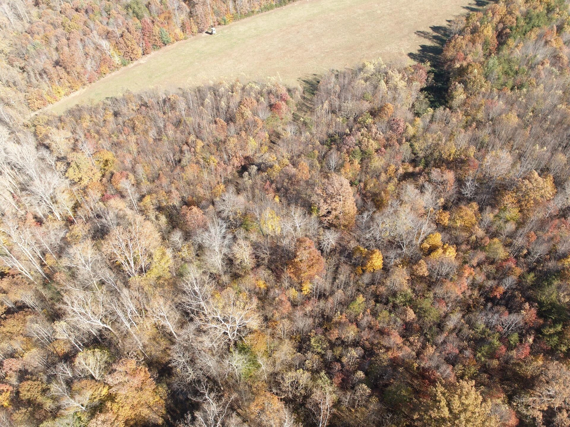 0 Beulah RD - Photo 85