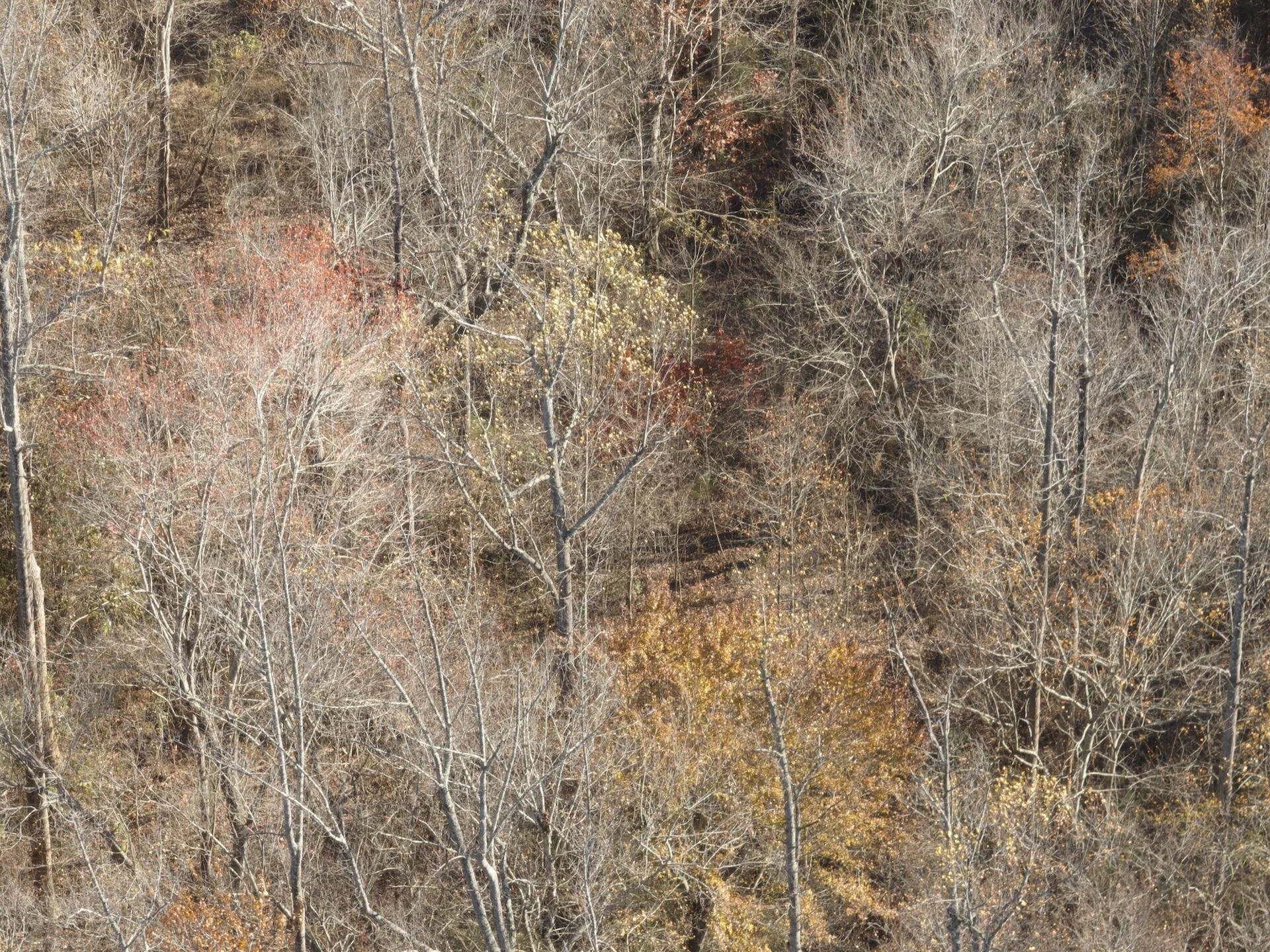 0 Beulah RD - Photo 86