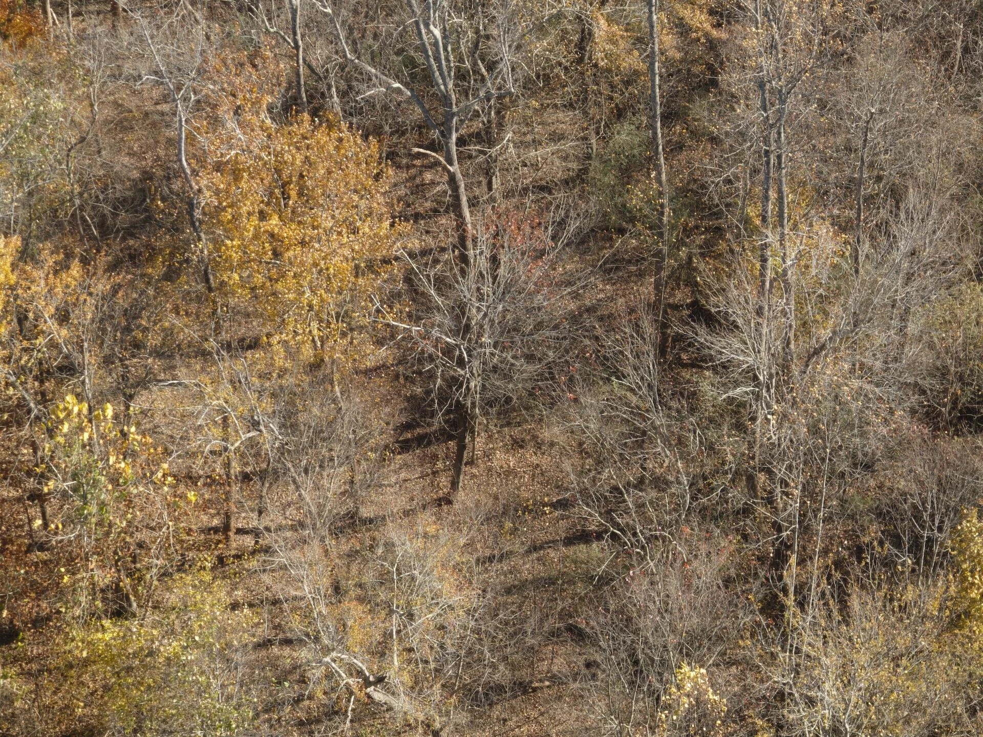 0 Beulah RD - Photo 87