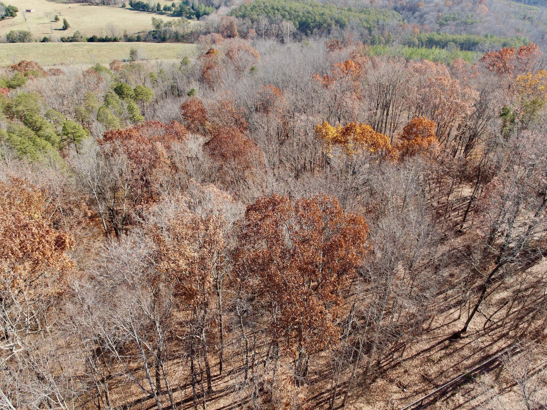 0 Leesville Lake DR - Photo 12