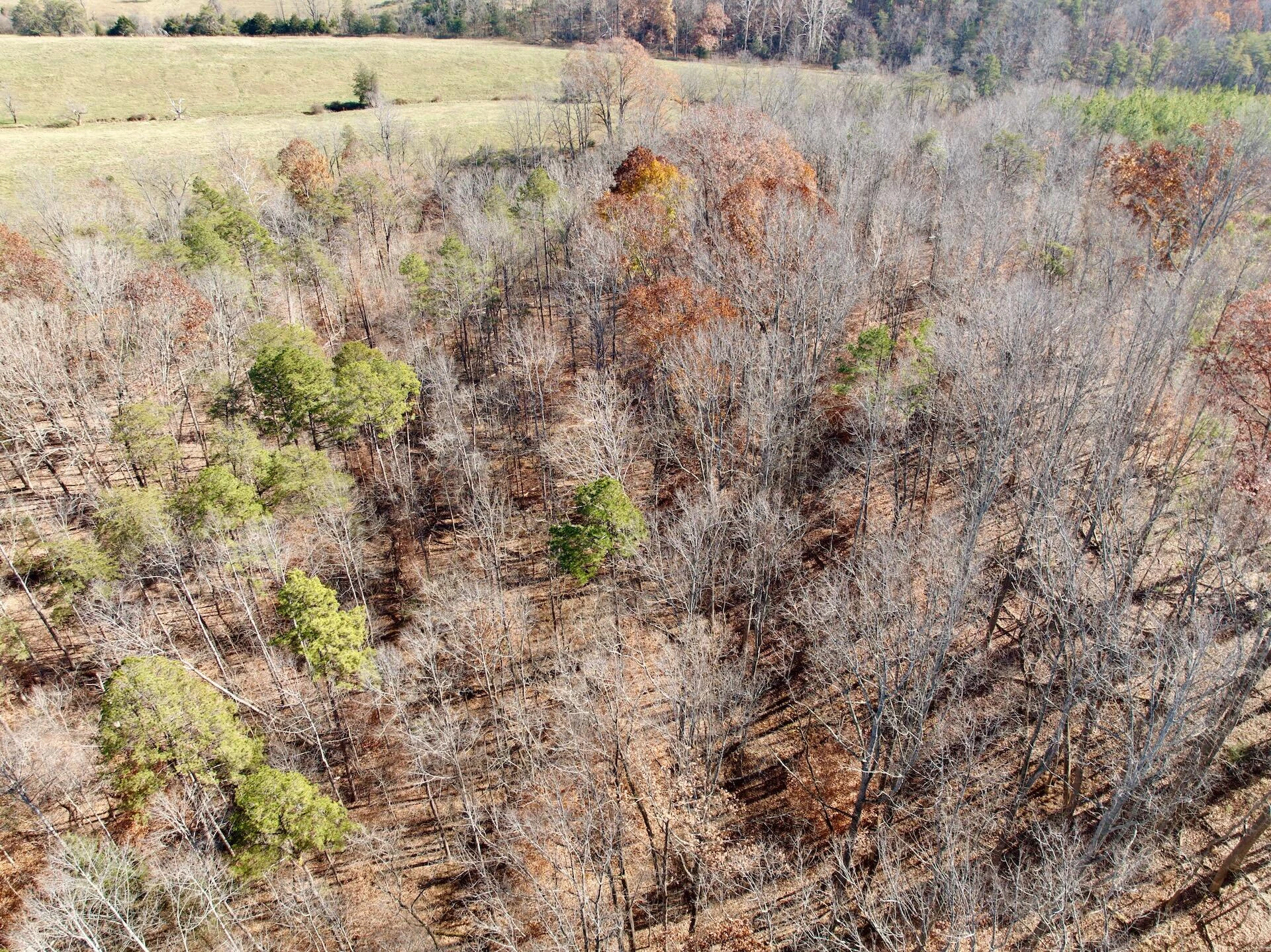 0 Leesville Lake DR - Photo 14