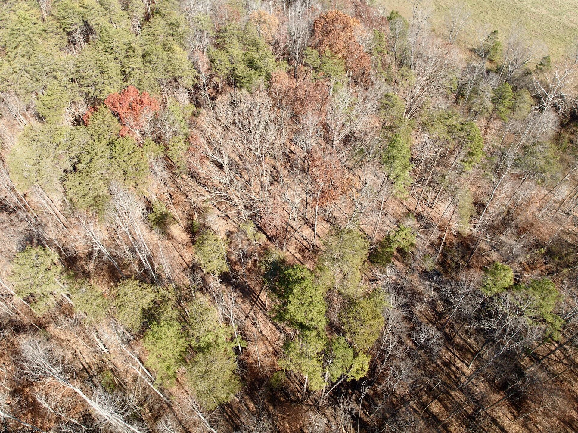 0 Leesville Lake DR - Photo 15