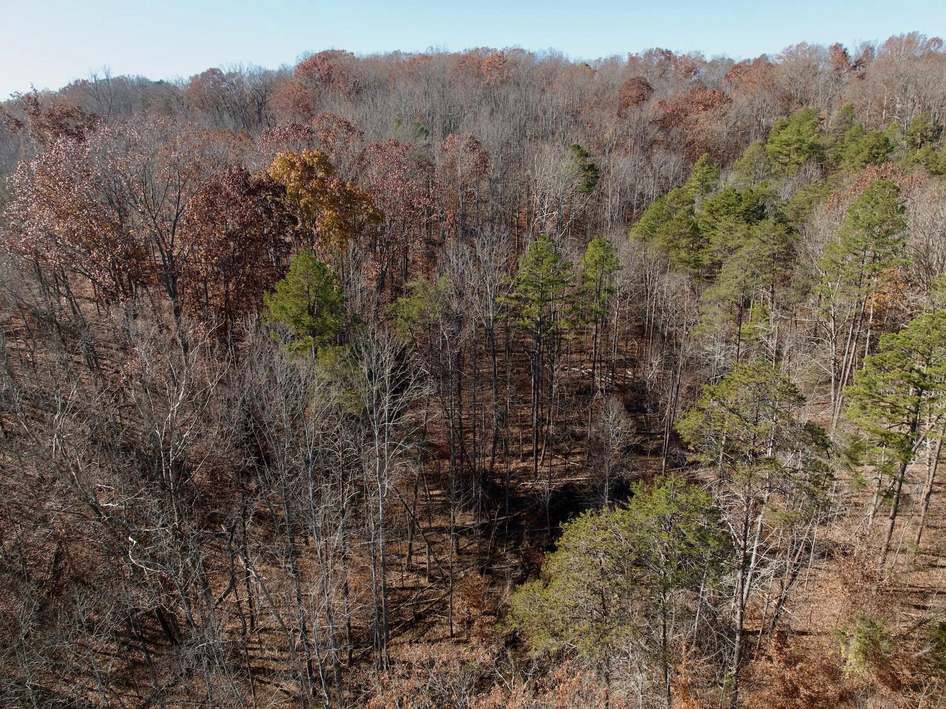 0 Leesville Lake DR - Photo 16