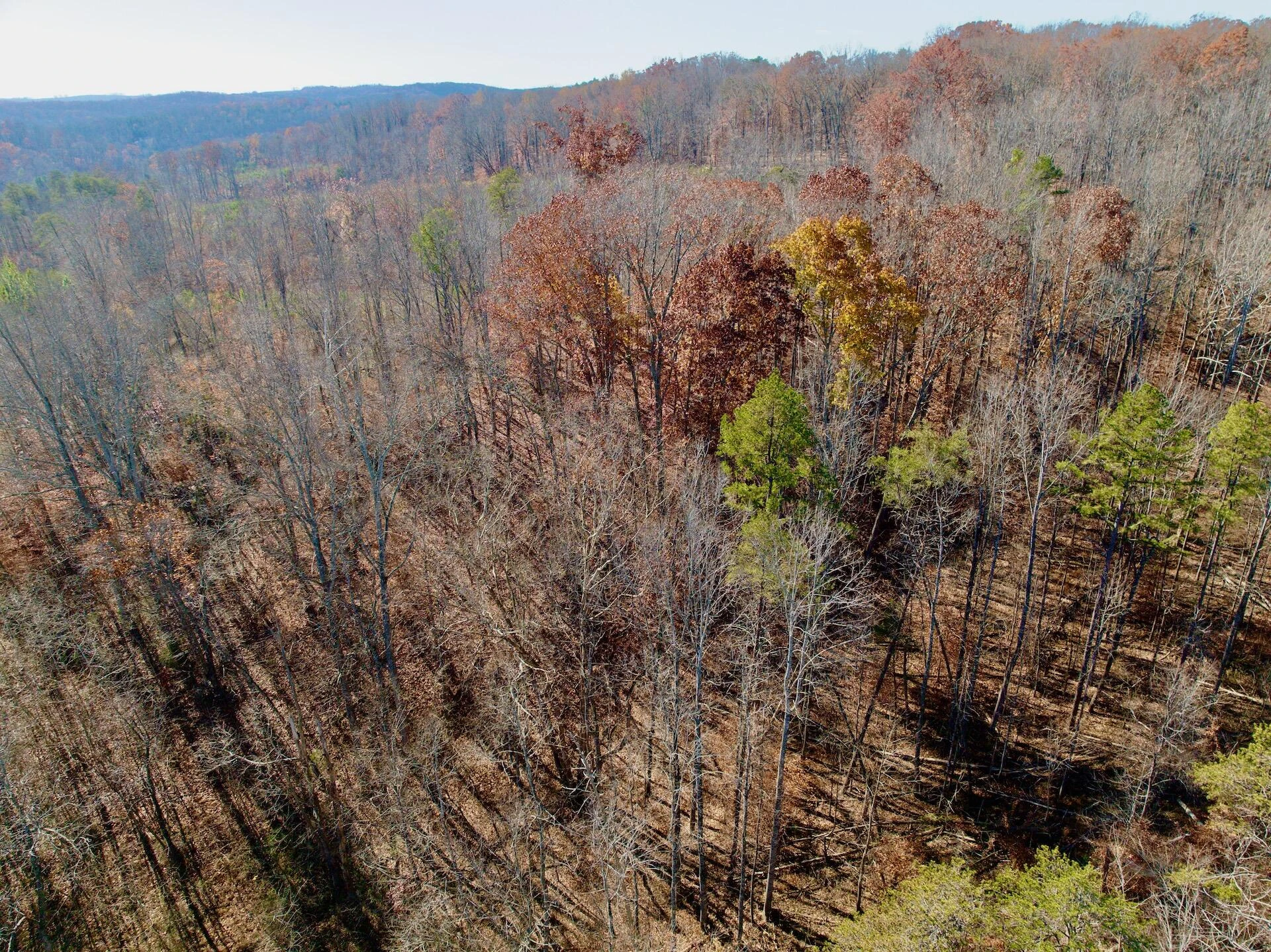 0 Leesville Lake DR - Photo 19