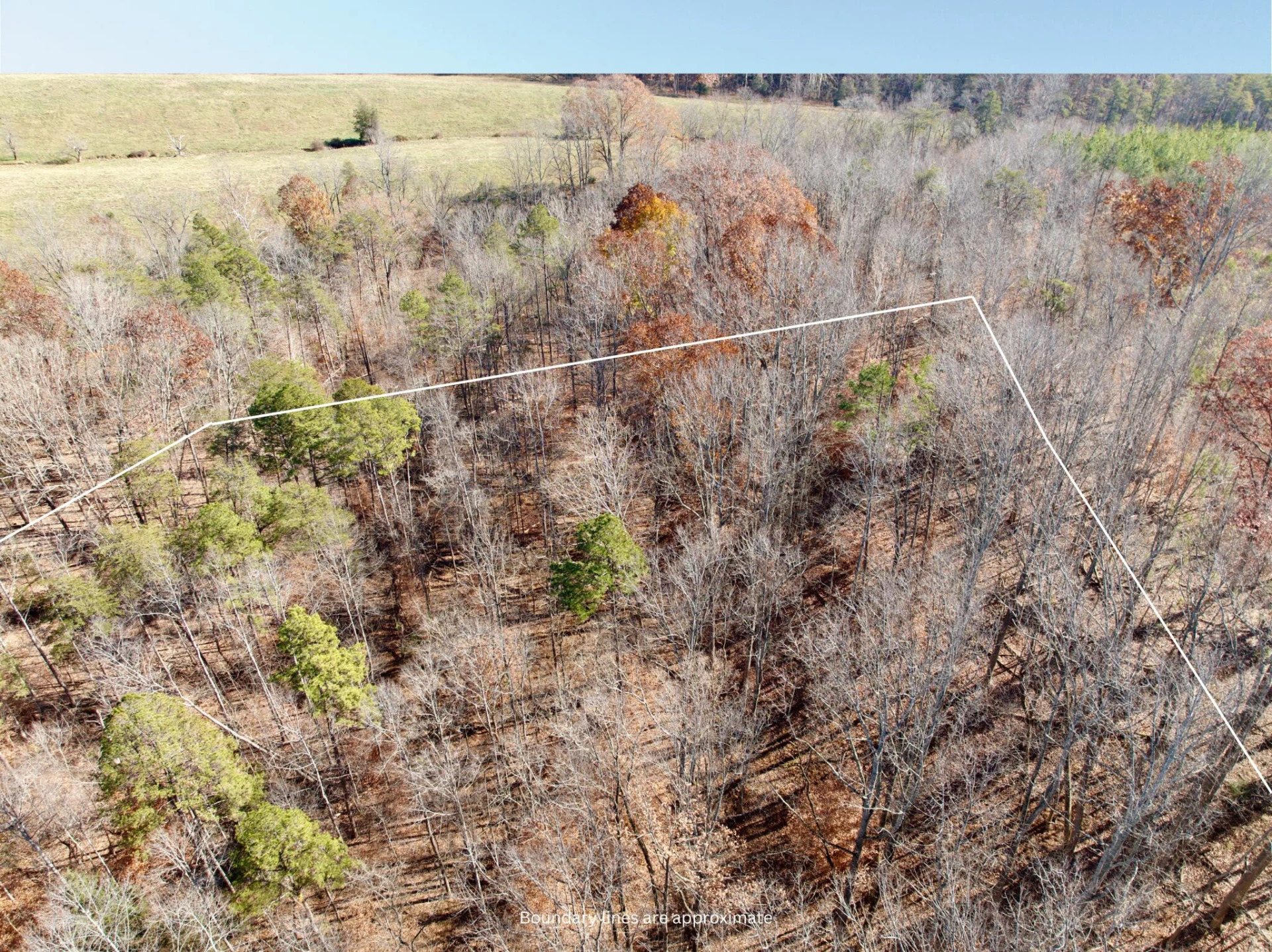 0 Leesville Lake DR - Photo 2