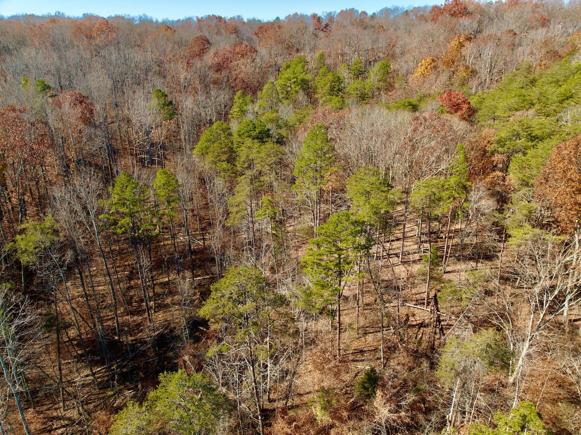 0 Leesville Lake DR - Photo 20