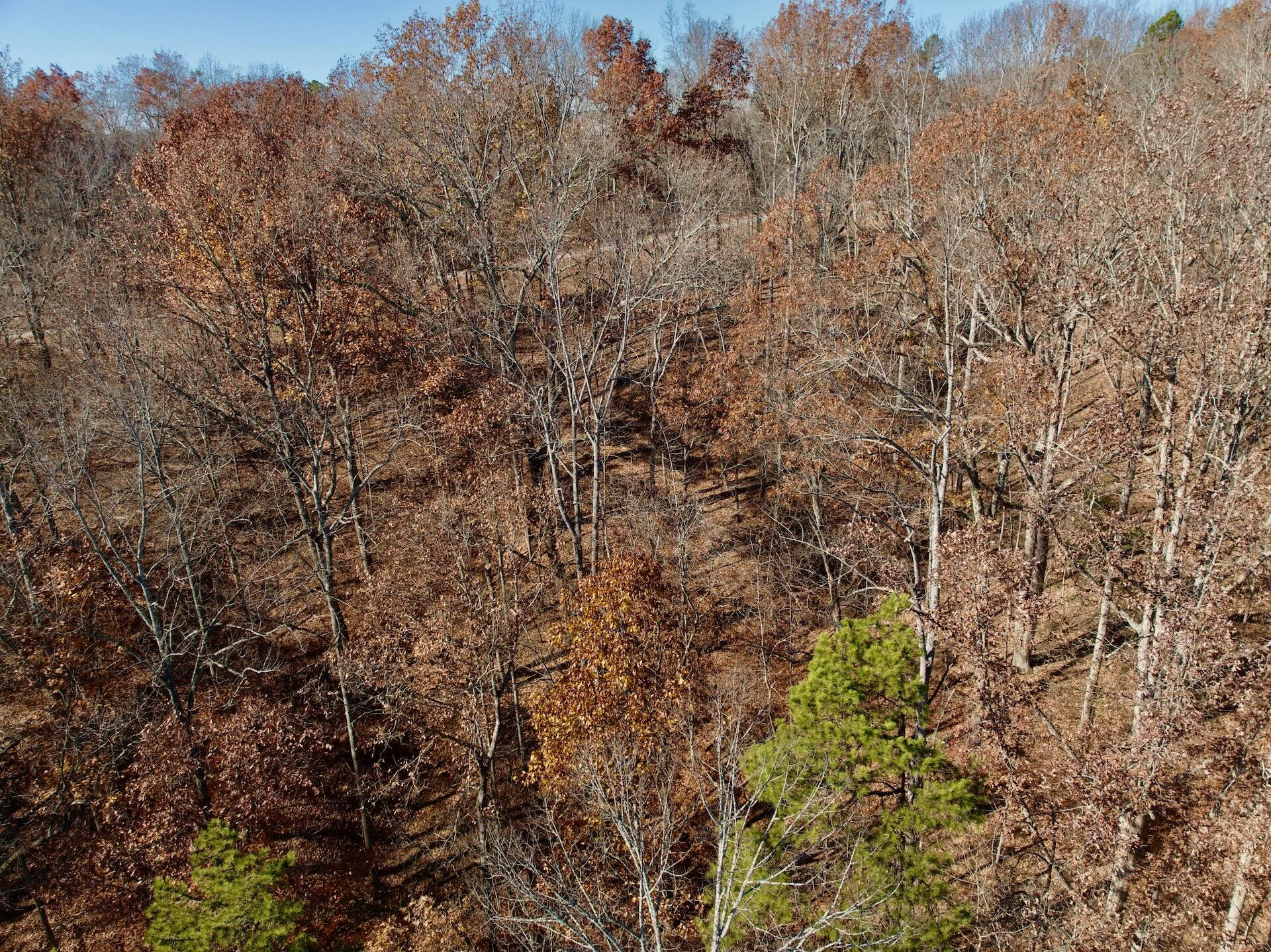 0 Leesville Lake DR - Photo 22