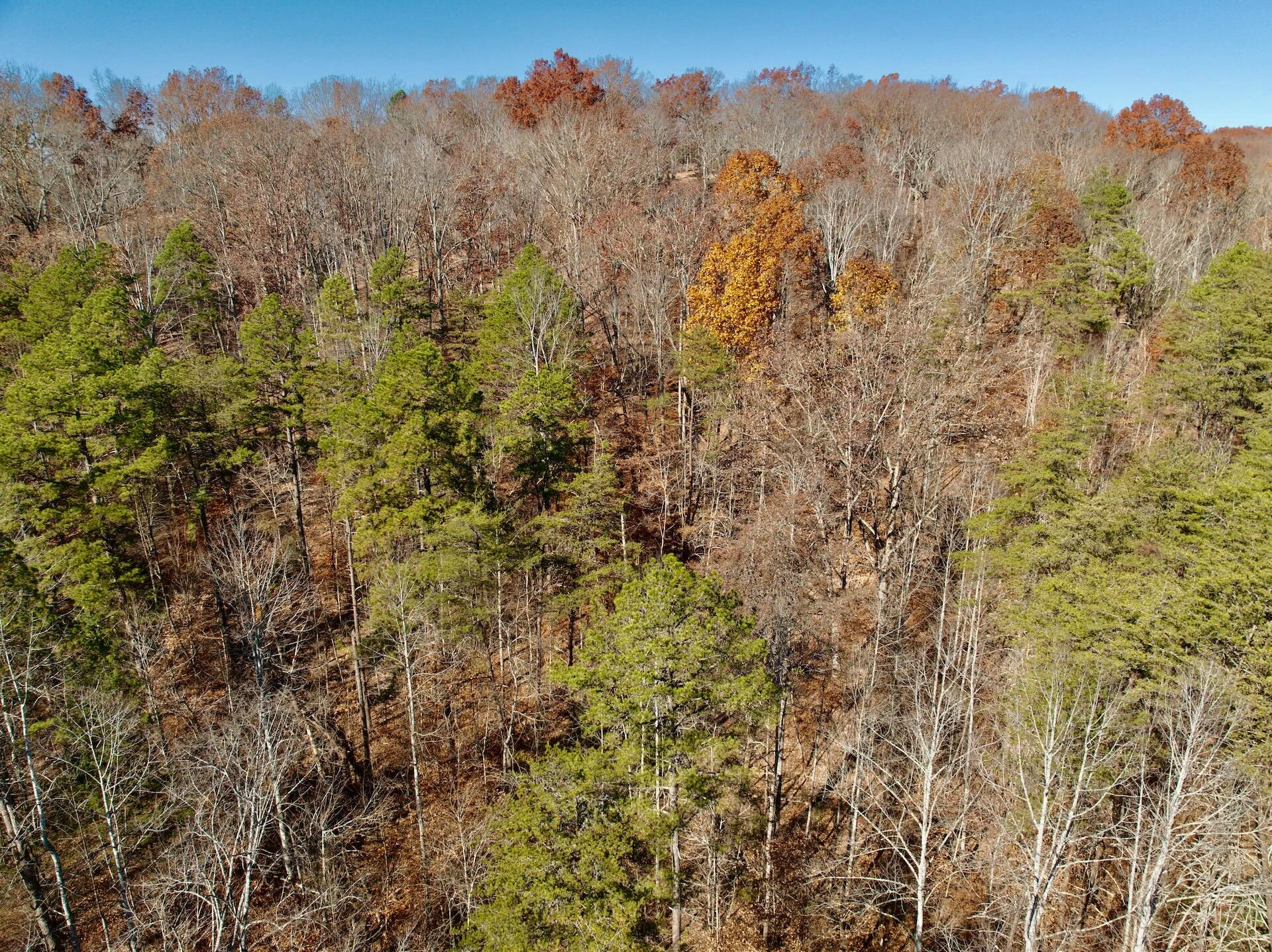 0 Leesville Lake DR - Photo 23