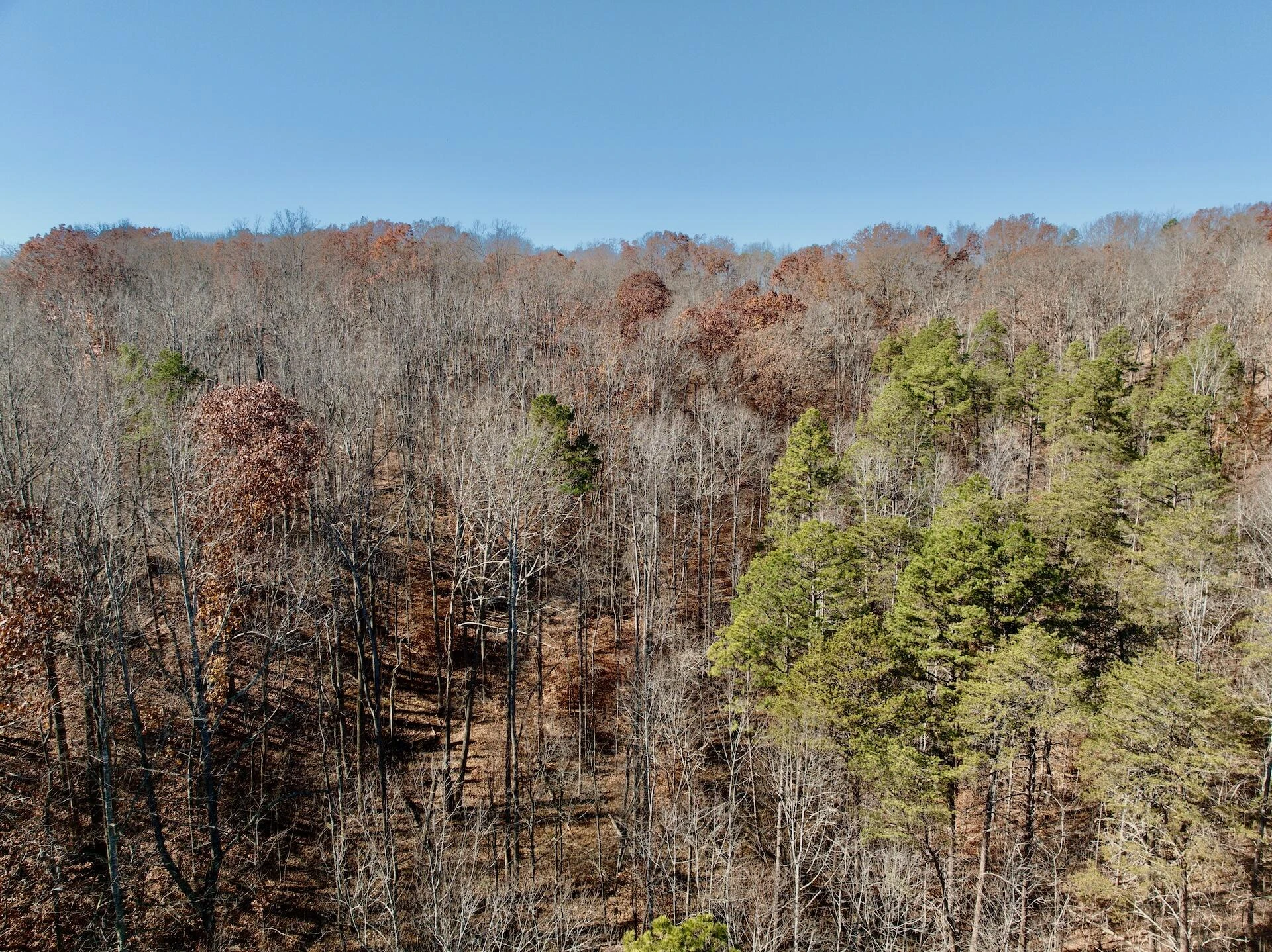 0 Leesville Lake DR - Photo 24