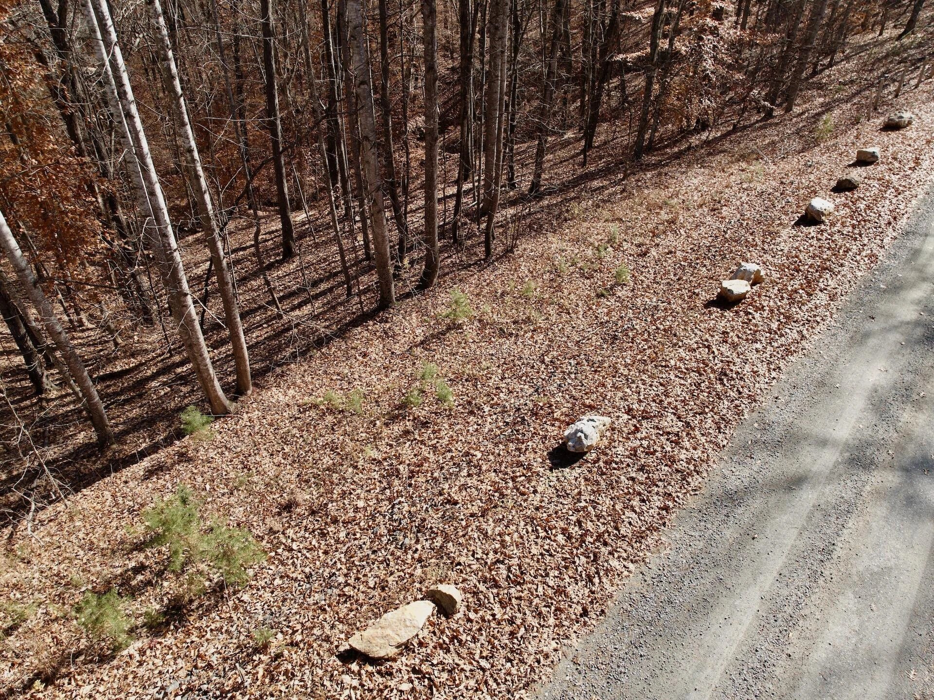 0 Leesville Lake DR - Photo 6