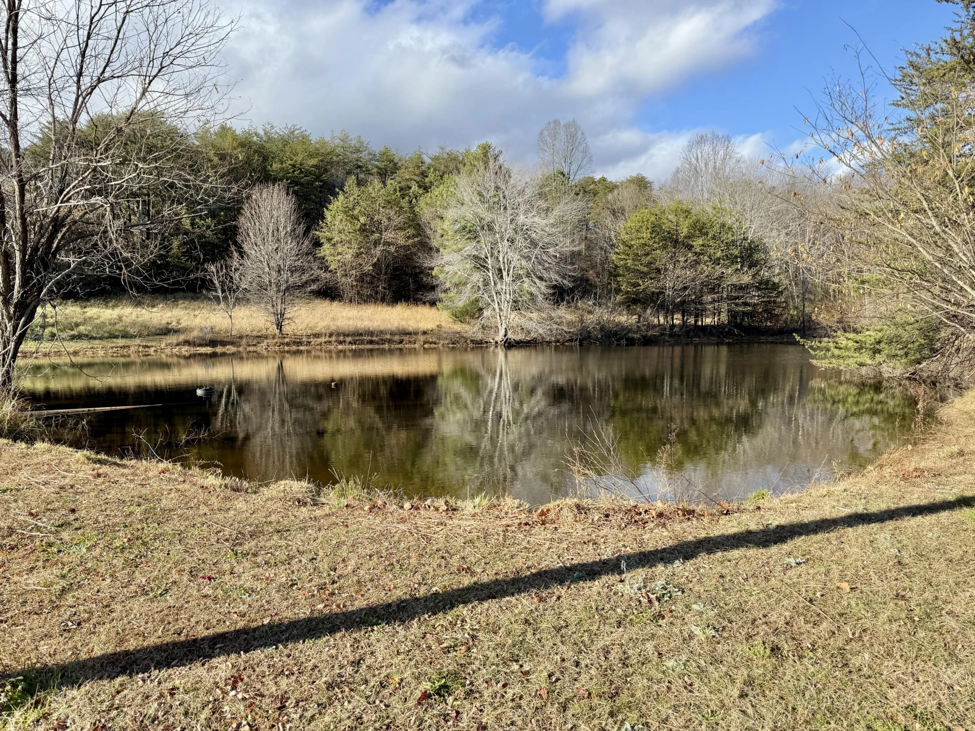 82 Saddleridge RD - Photo 19