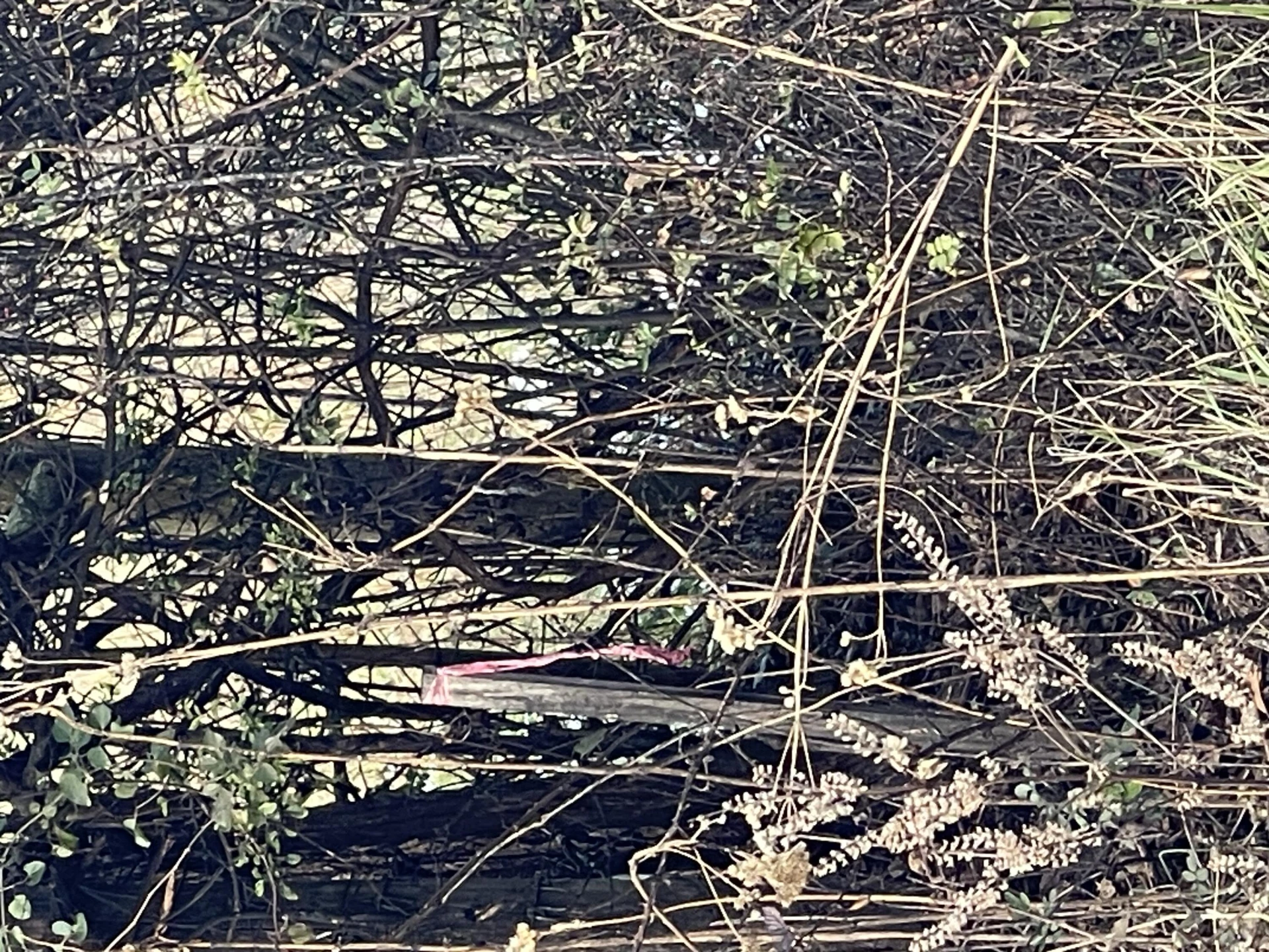 0 Burks Hill RD - Photo 14
