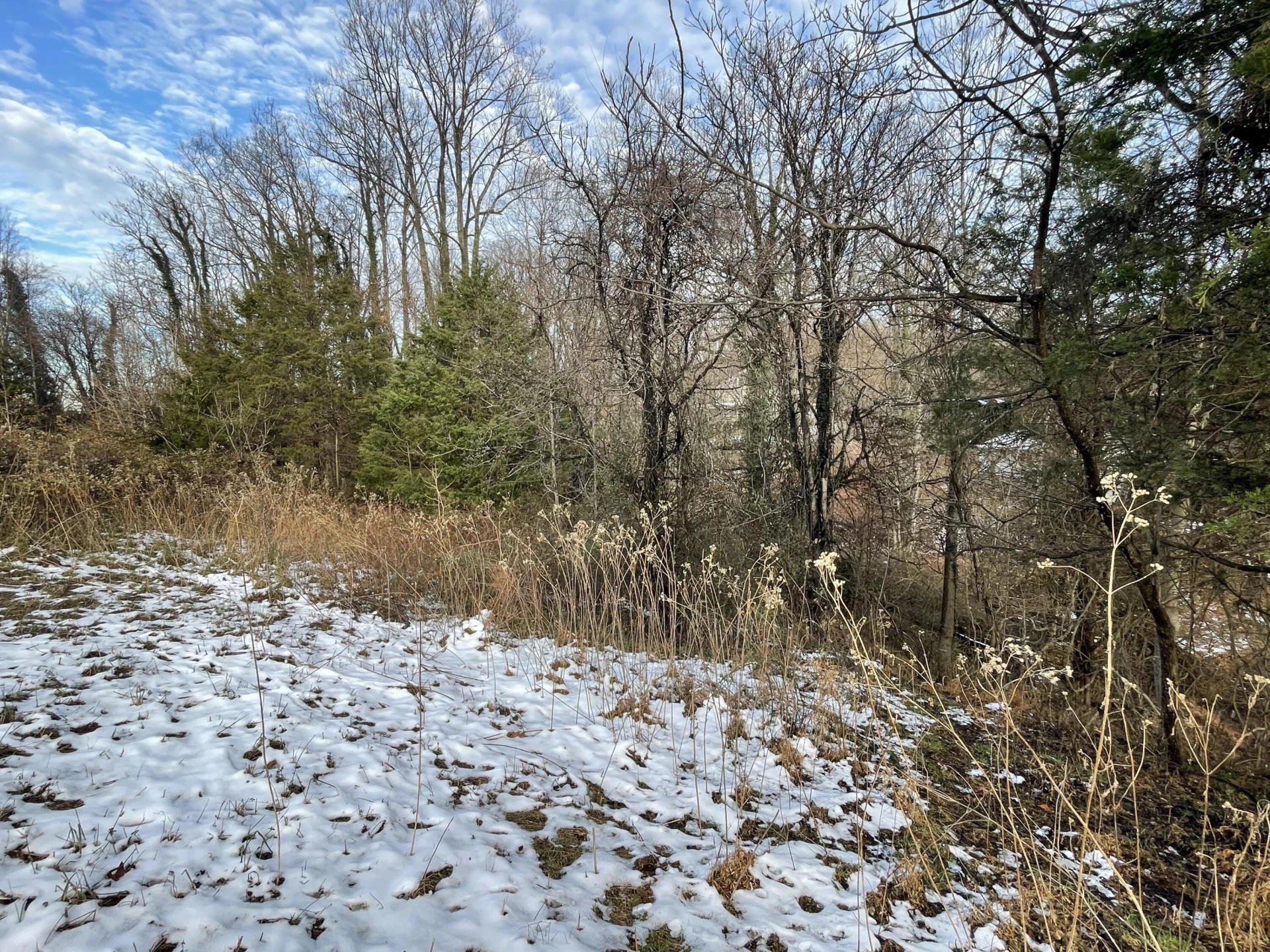 0 Burks Hill RD - Photo 15