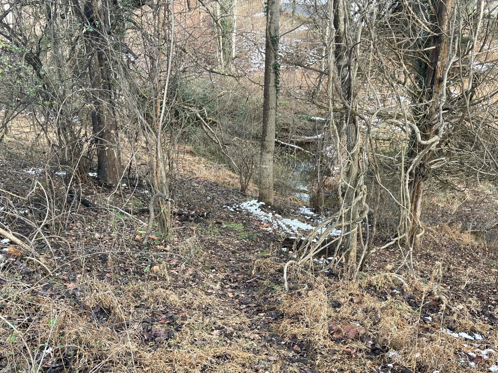 0 Burks Hill RD - Photo 16